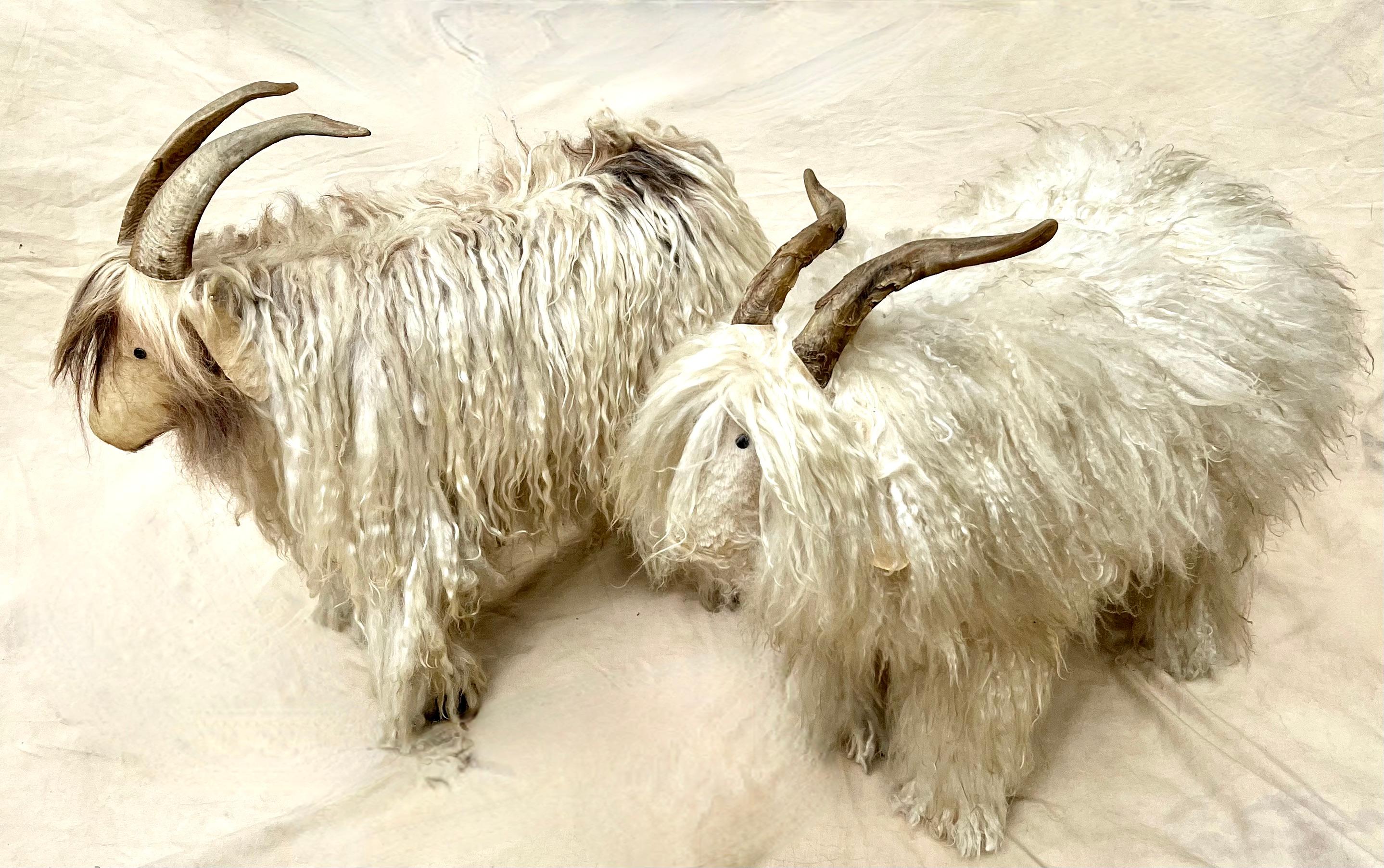 Paar Schafshocker mit Pelz und Horn - im Angebot 1