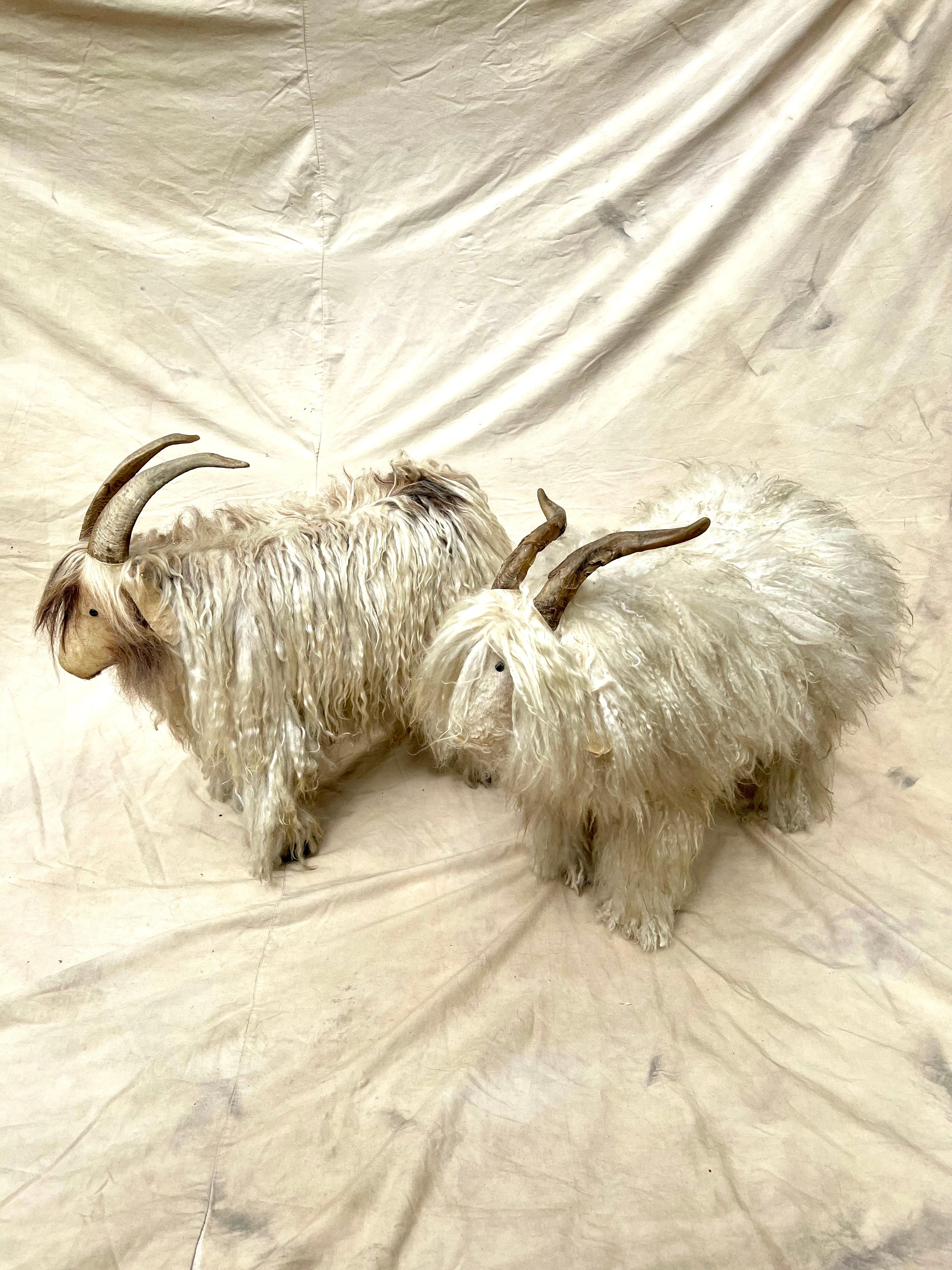 Paar Schafshocker mit Pelz und Horn - im Angebot 2