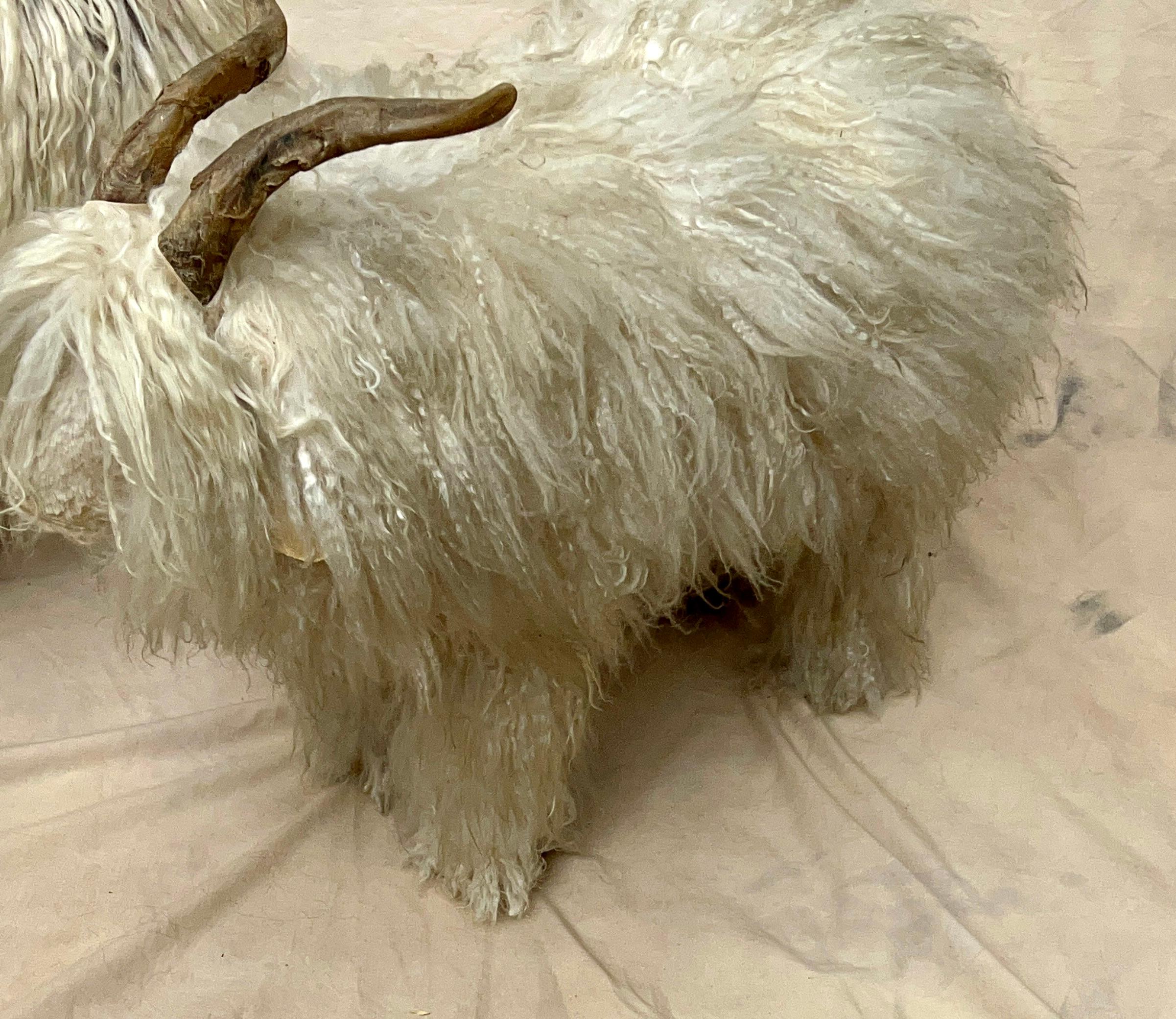 Pair of French Sheep Ram Stools with Authentic Fur and Horn  For Sale 4