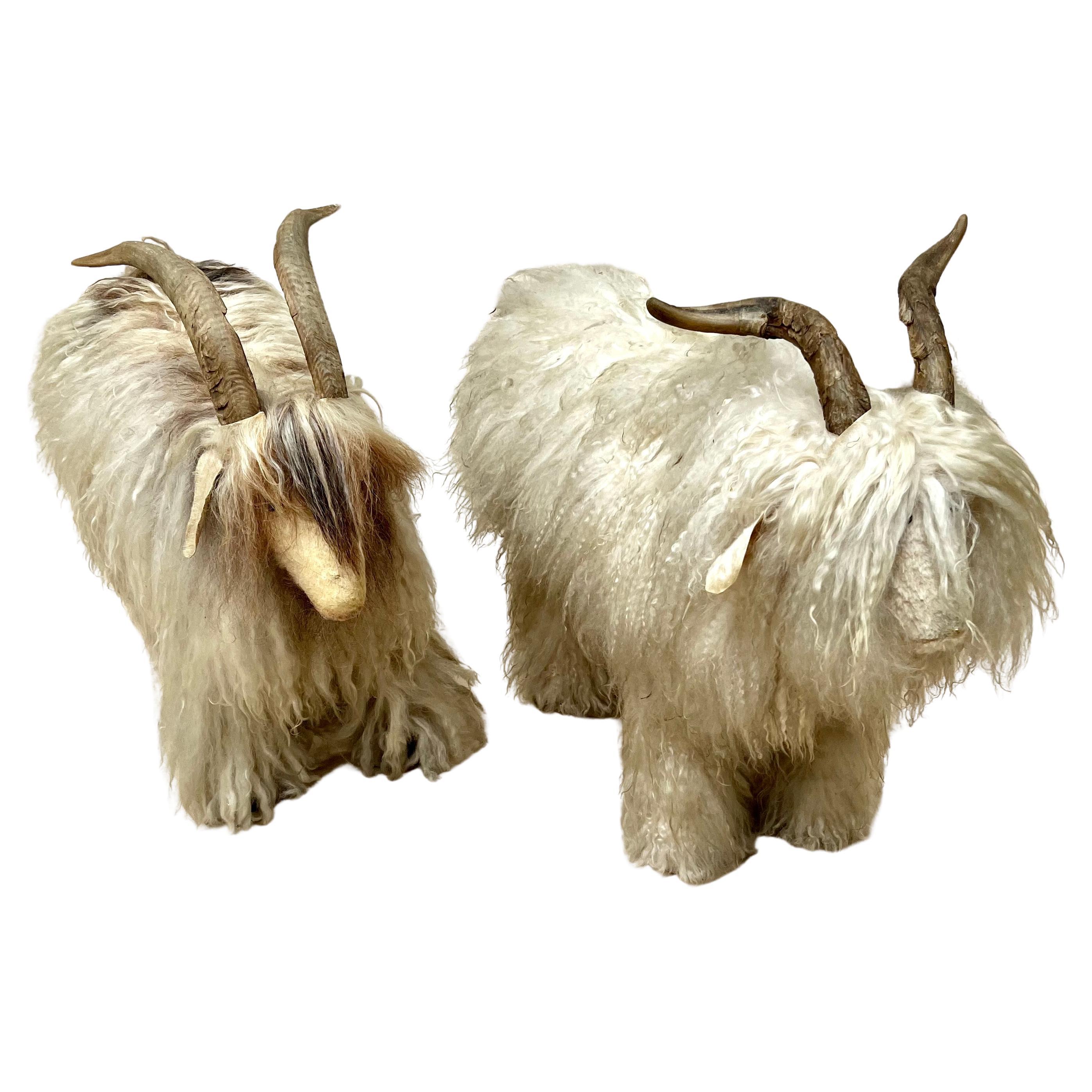 Pair of French Sheep Ram Stools with Authentic Fur and Horn 