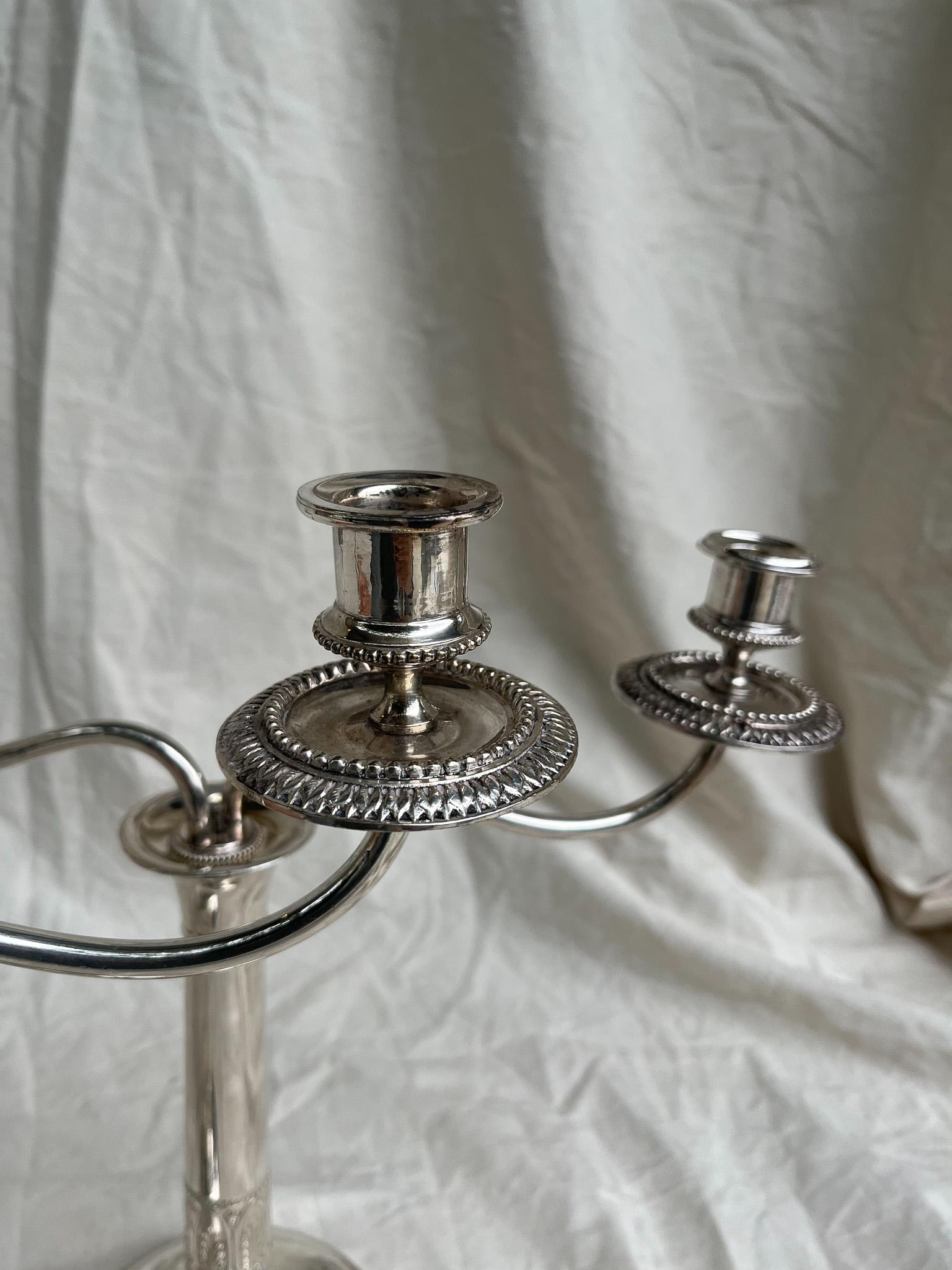 Pair of Shell Candelabra, Portugal 20th Century For Sale 1