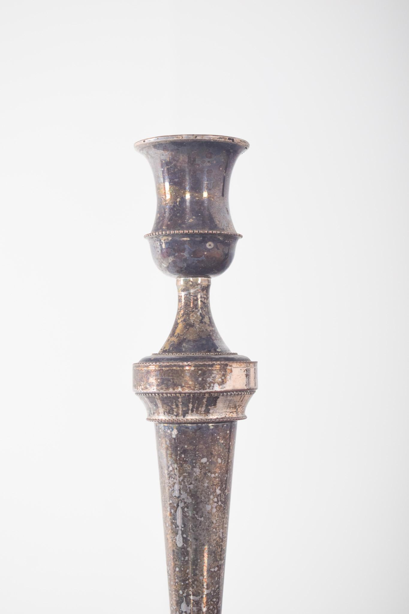 Portuguese Pair of Shell Candlesticks For Sale