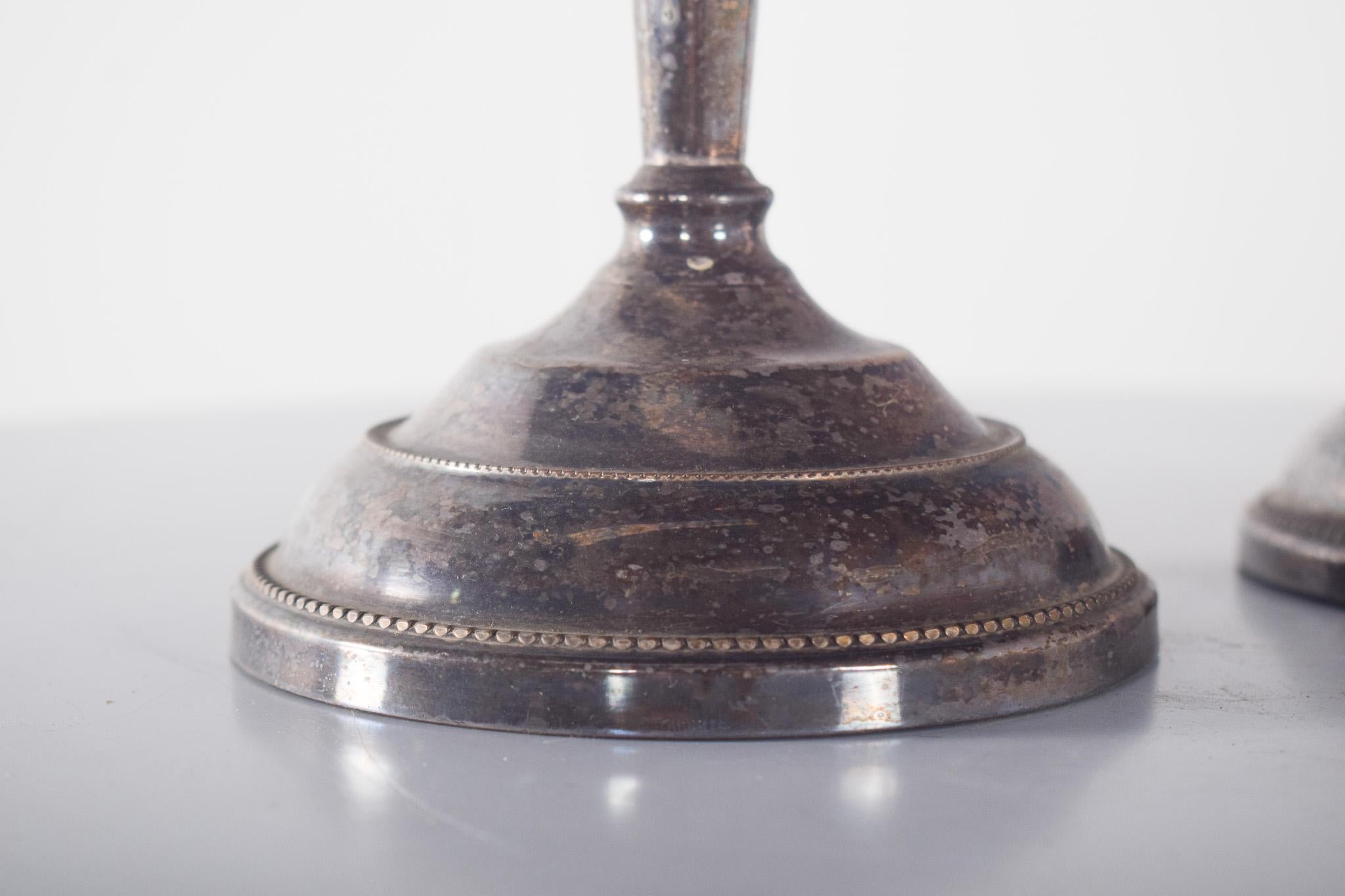 Pair of Shell Candlesticks In Good Condition For Sale In Lisboa, Lisboa