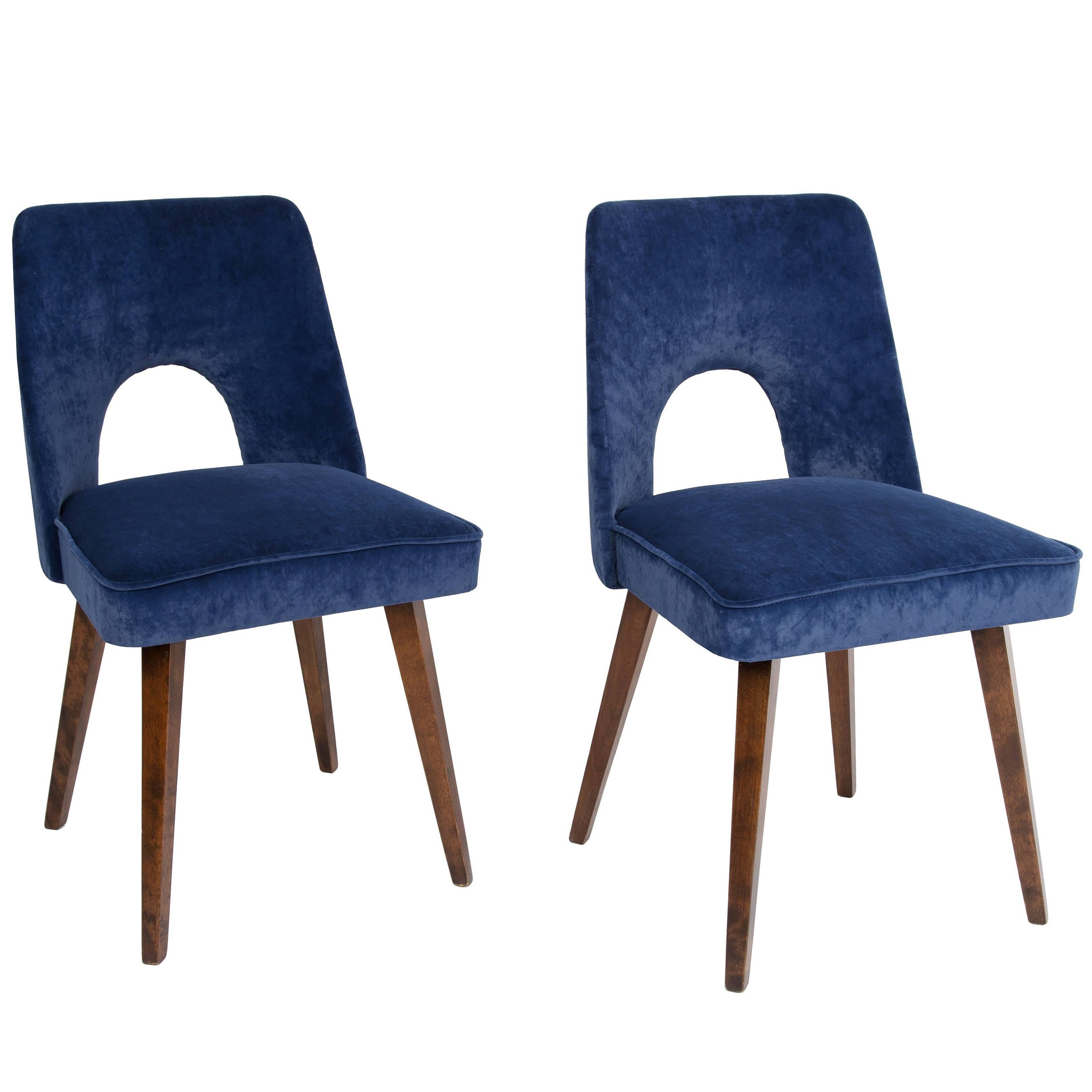 Pair of Mid Century Navy Blue Velvet "Shell" Chairs, Poland, 1960s