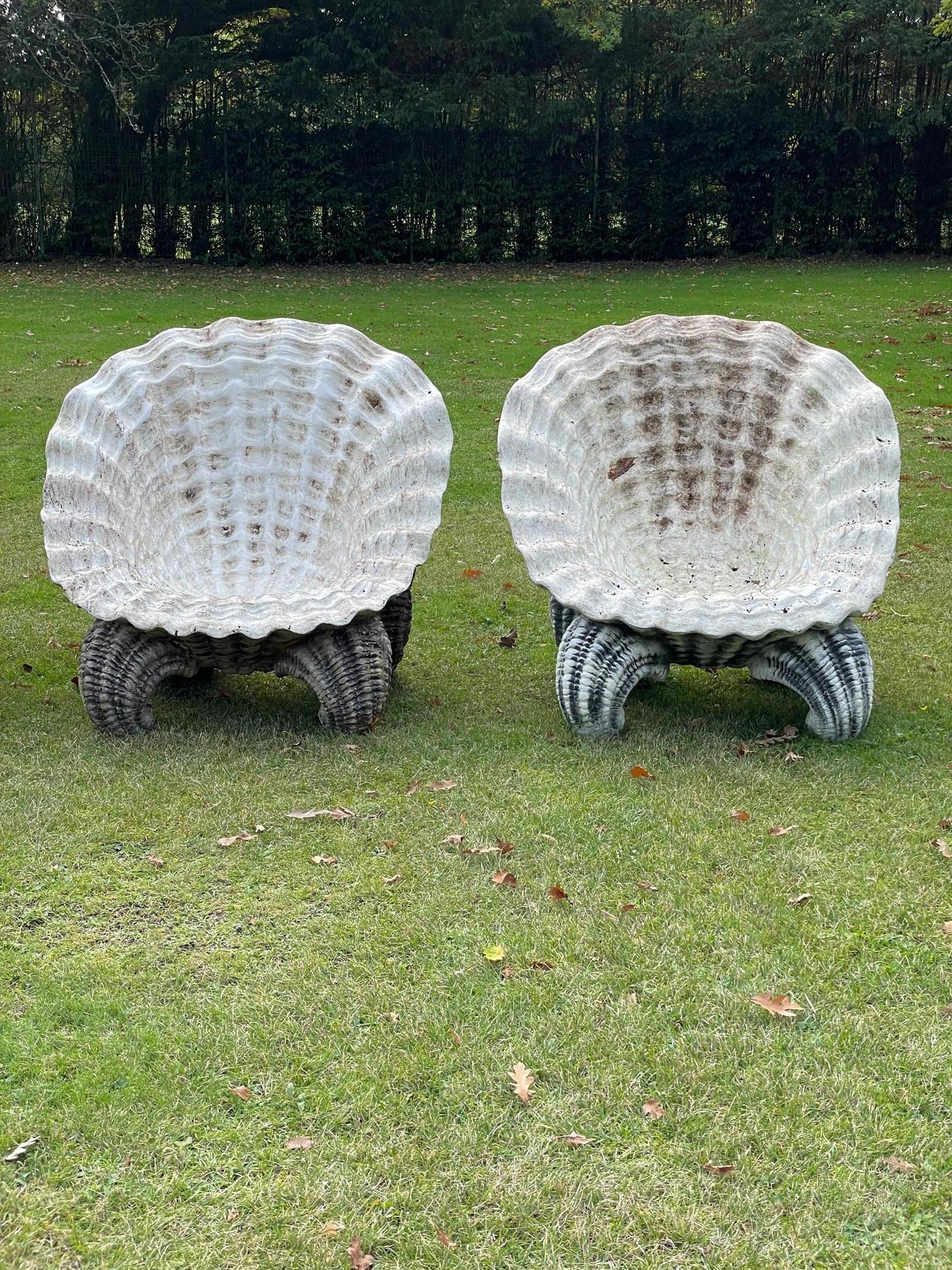 Paire de chaises de jardin de jardin coquillage, 20ème siècle en vente 3