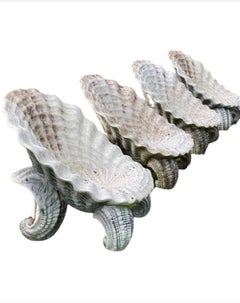 Ensemble de 4 chaises de jardin Shell Grotto, 20e siècle