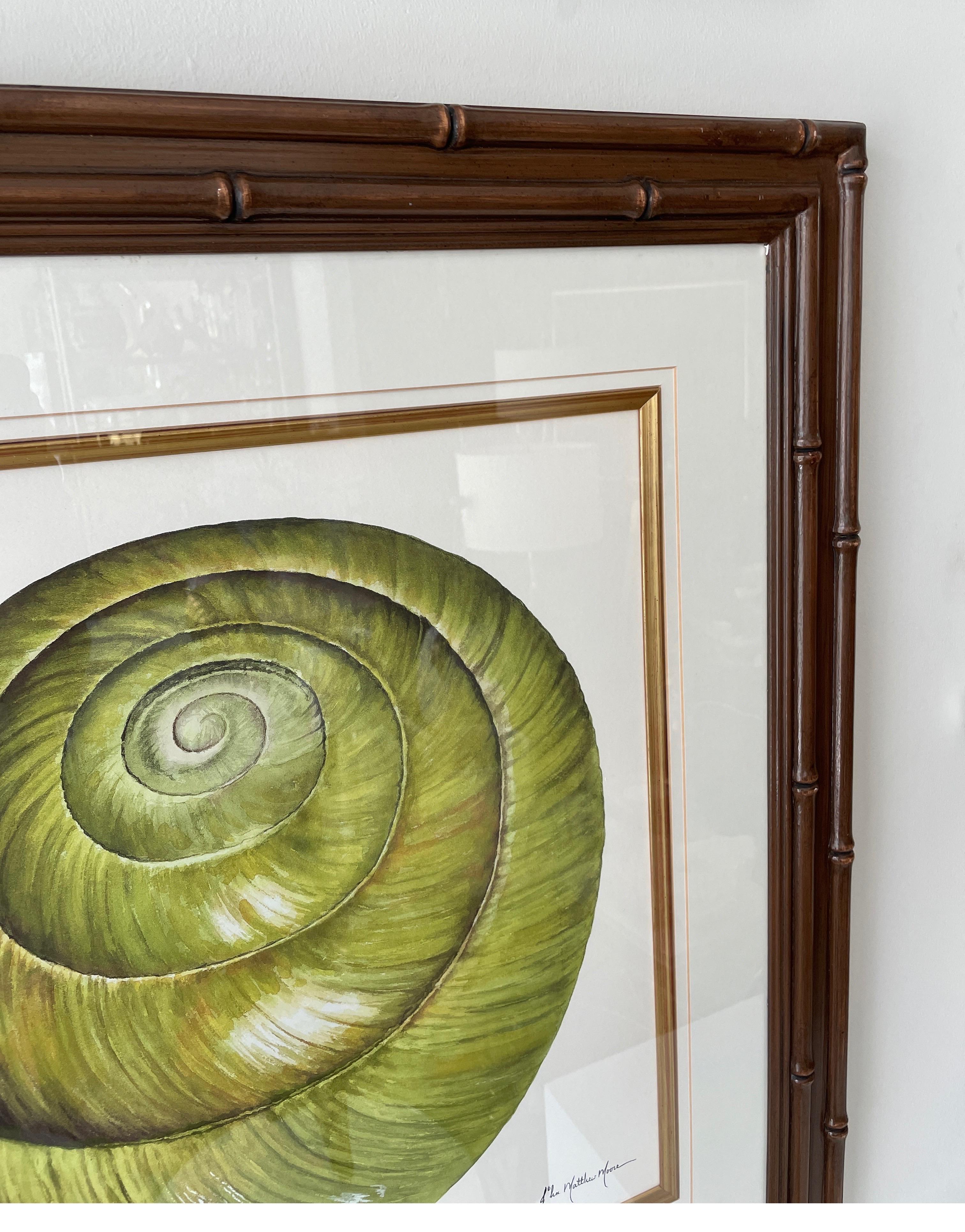 Pair of Shell Lithographs by Botanical Artist John Matthew Moore 1