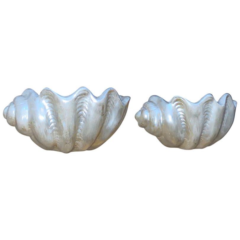 Pair of Shell Sconces.  For Sale