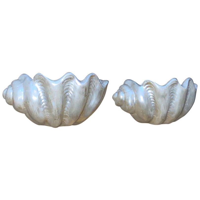 Paire d'appliques en forme de coquillage. en vente