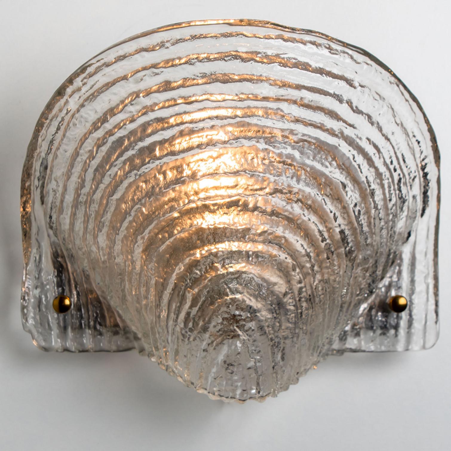 Brass Pair of Shell Shaped Ribble Glass Wall Lights, Germany
