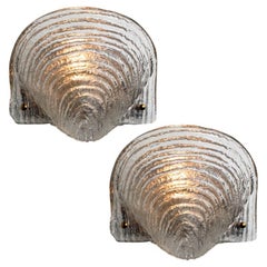 Vintage Pair of Shell Shaped Ribble Glass Wall Lights, Germany