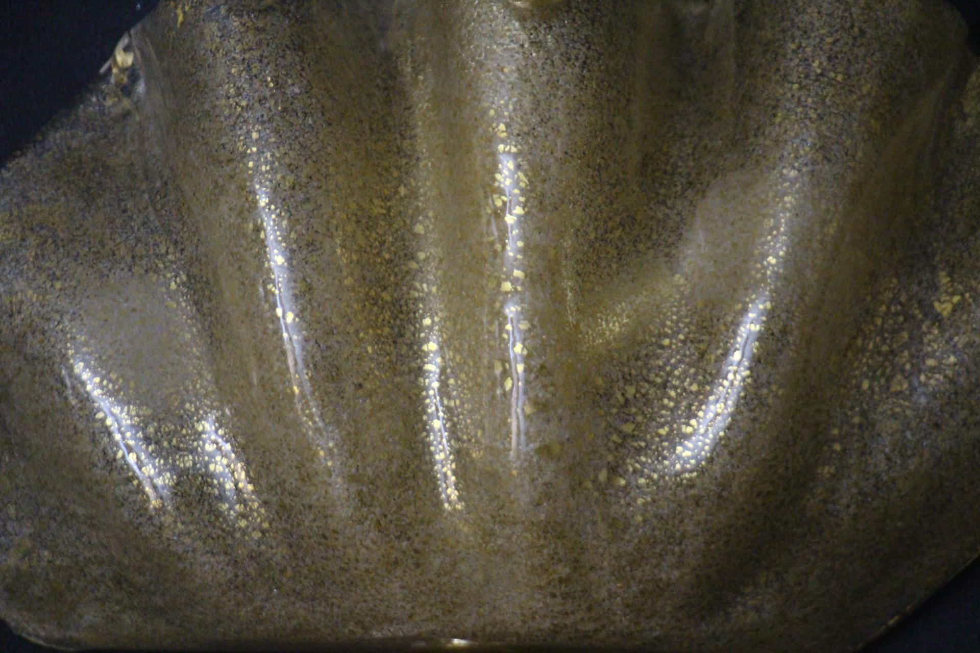 Pareja de Apliques en Forma de Concha de Cristal de Murano Dorado Italiano en venta