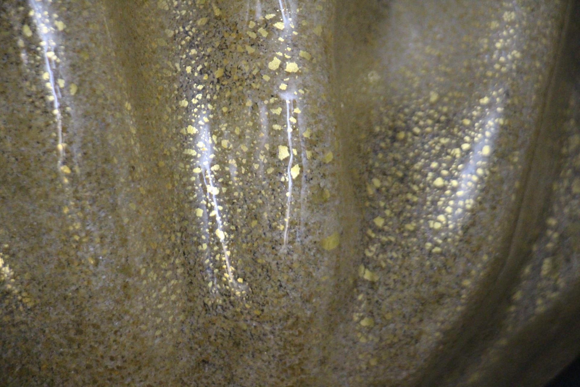 Pareja de Apliques en Forma de Concha de Cristal de Murano Dorado en venta 2