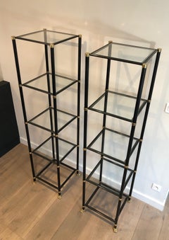Pair of Shelves in Black Lacquered Metal, Brass, Glass and Bronze with Claw Feet