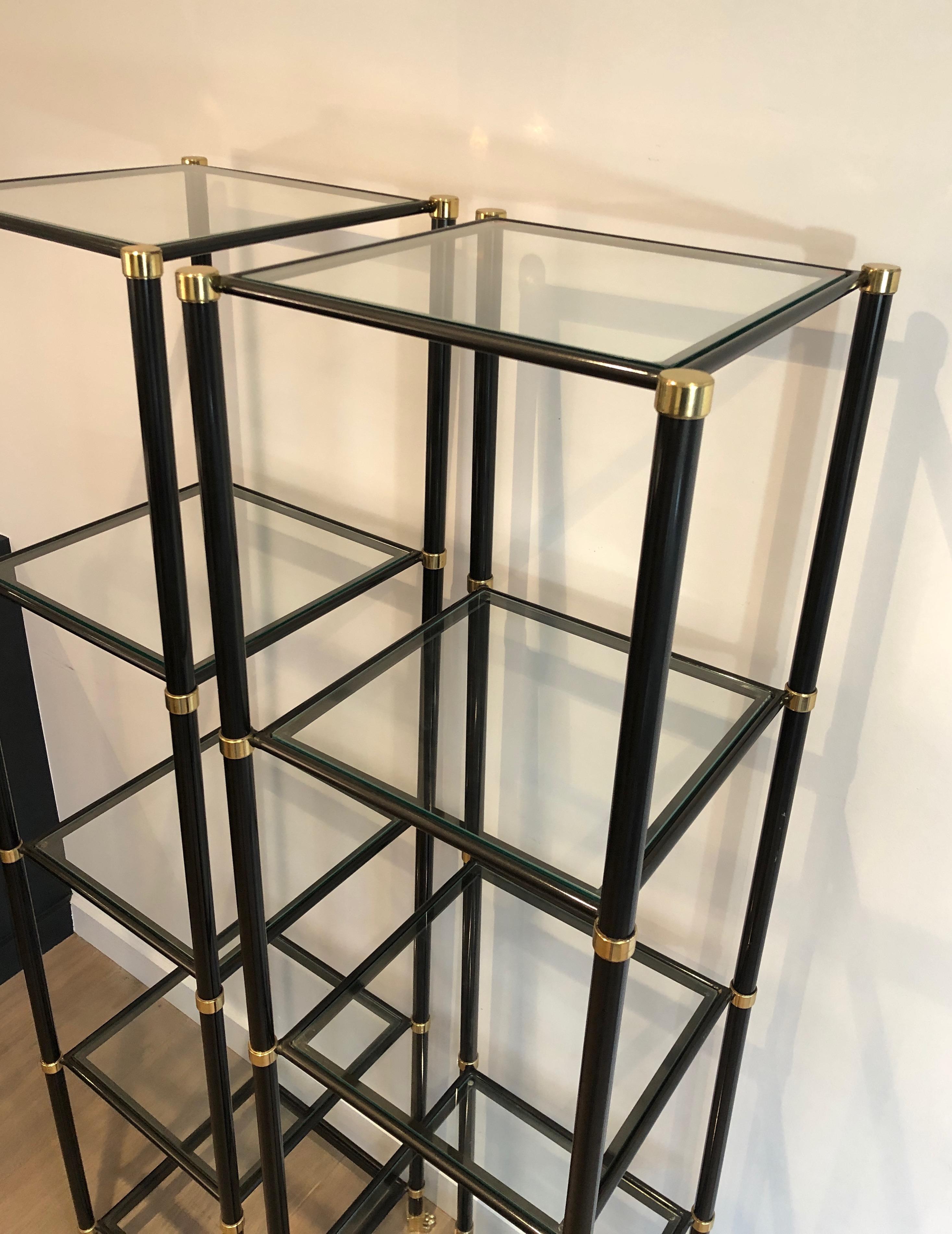 French Pair of Shelves in Black Lacquered Metal, Brass, Glass and Bronze with Claw Feet For Sale