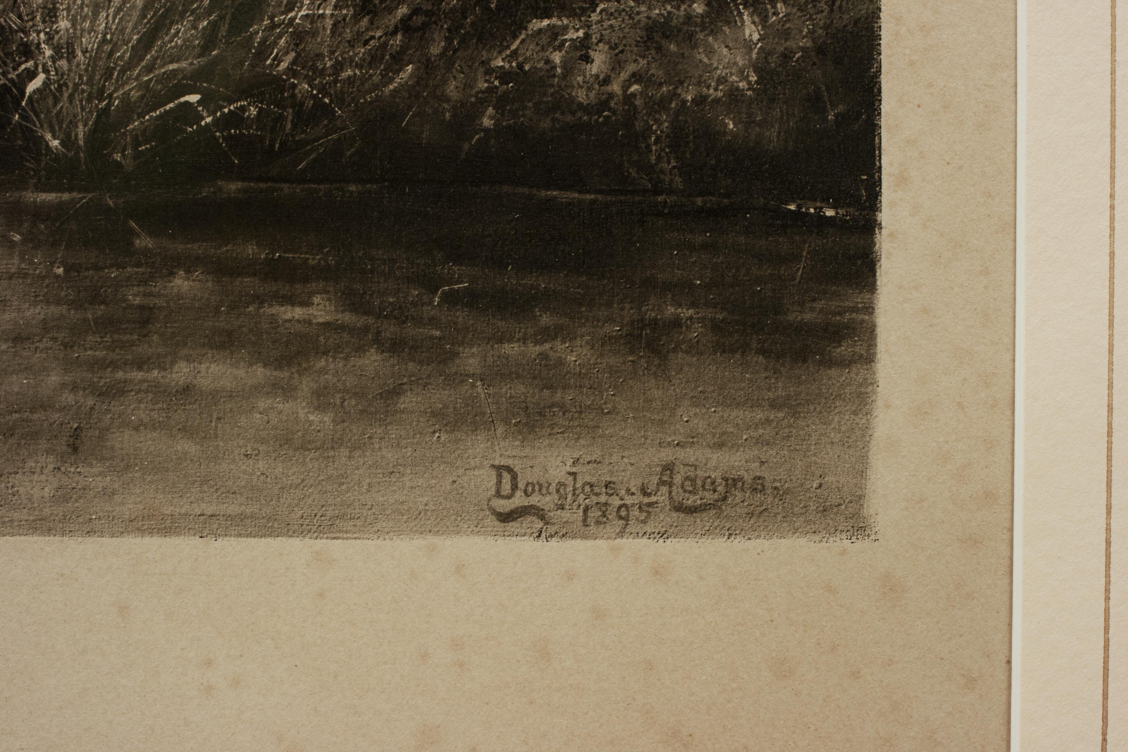 Pair of Shooting Pictures, War and Peace by Douglas Adams 4
