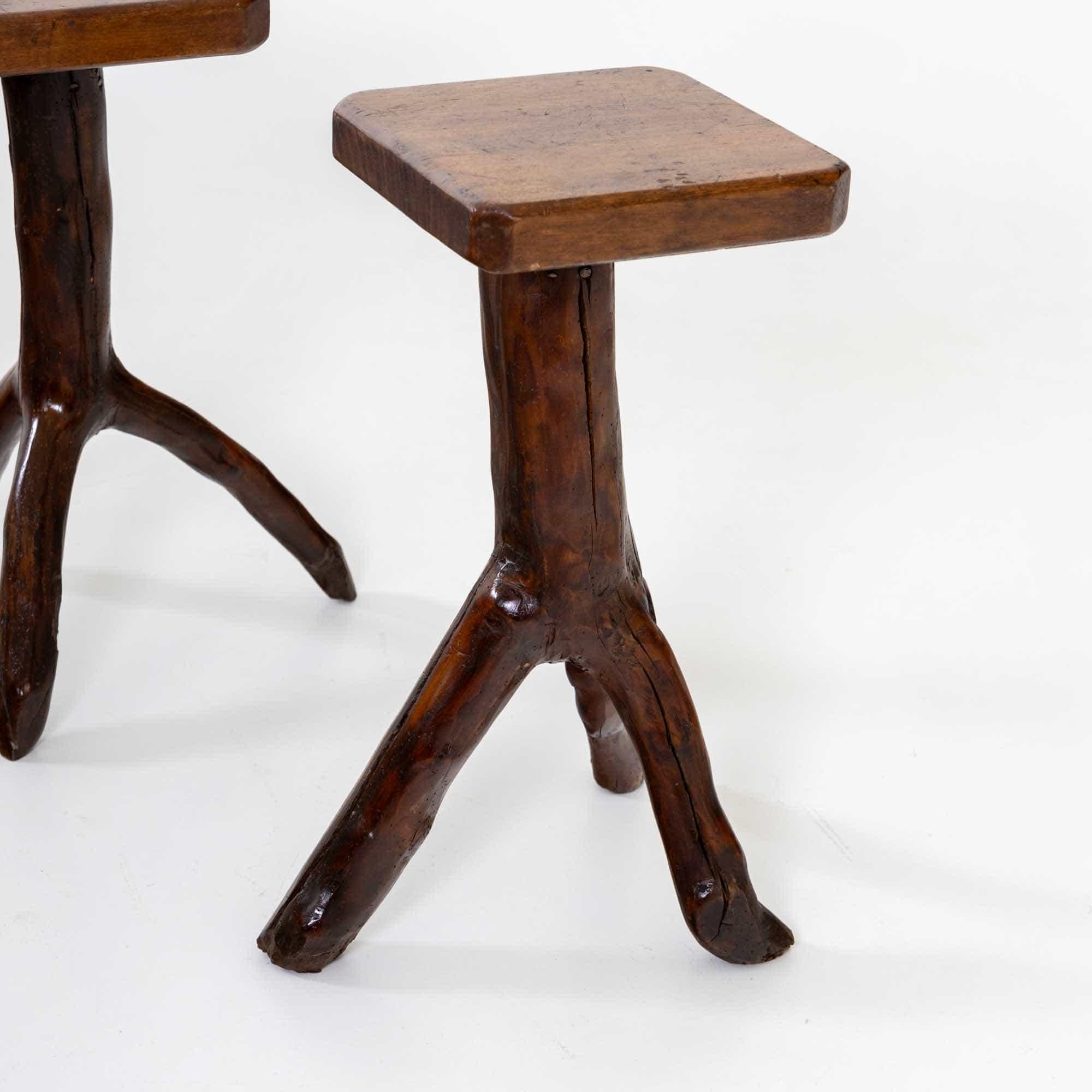Polished Pair of side tables made from tree branches, 20th Century For Sale