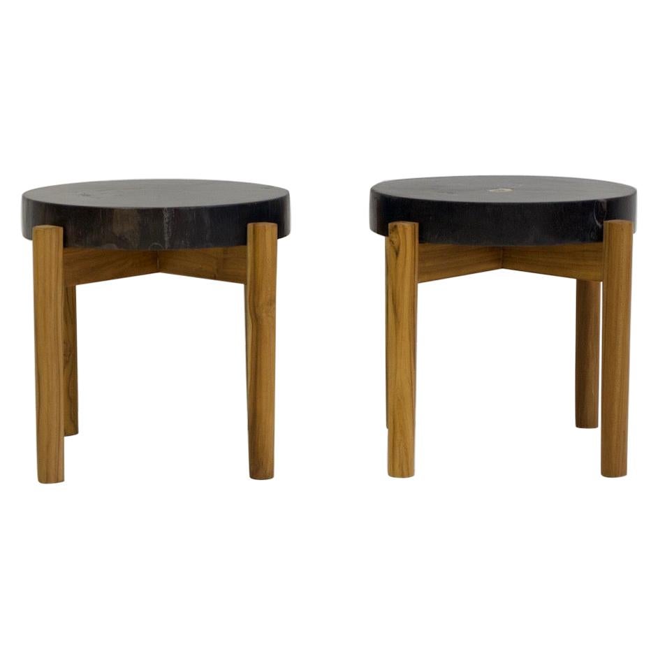 Pair of Side Tables with Wooden Feet and Dark Petrified Wood Top