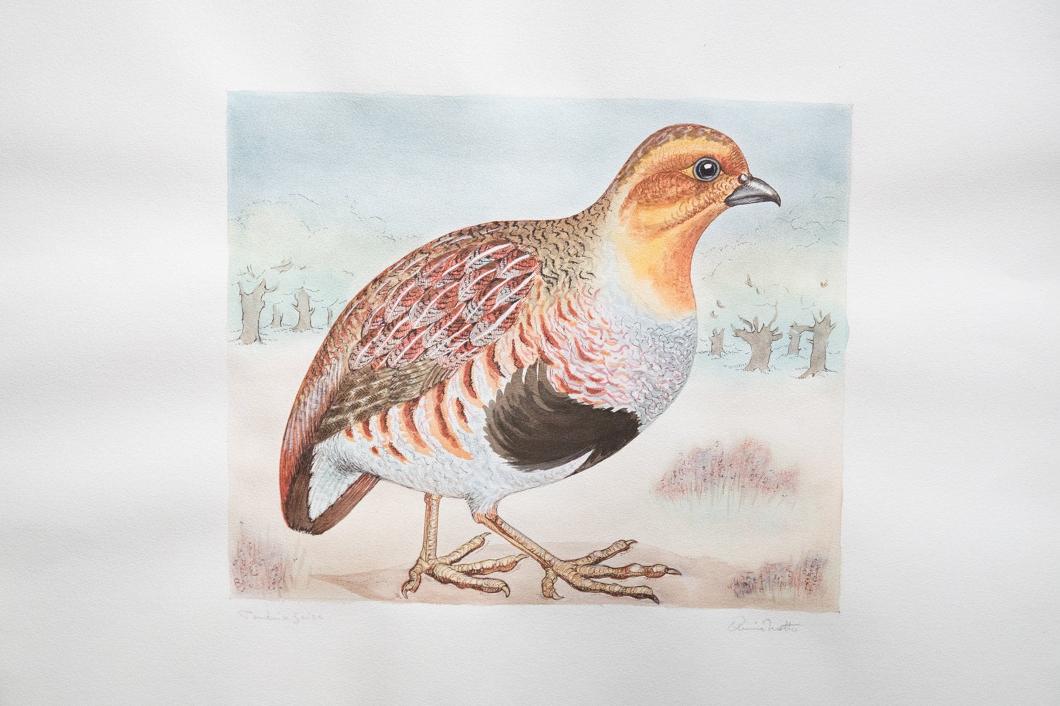 Pair of  Signed Animalier Watercolours