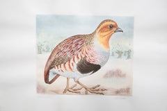 Pair of  Signed Animalier Watercolours