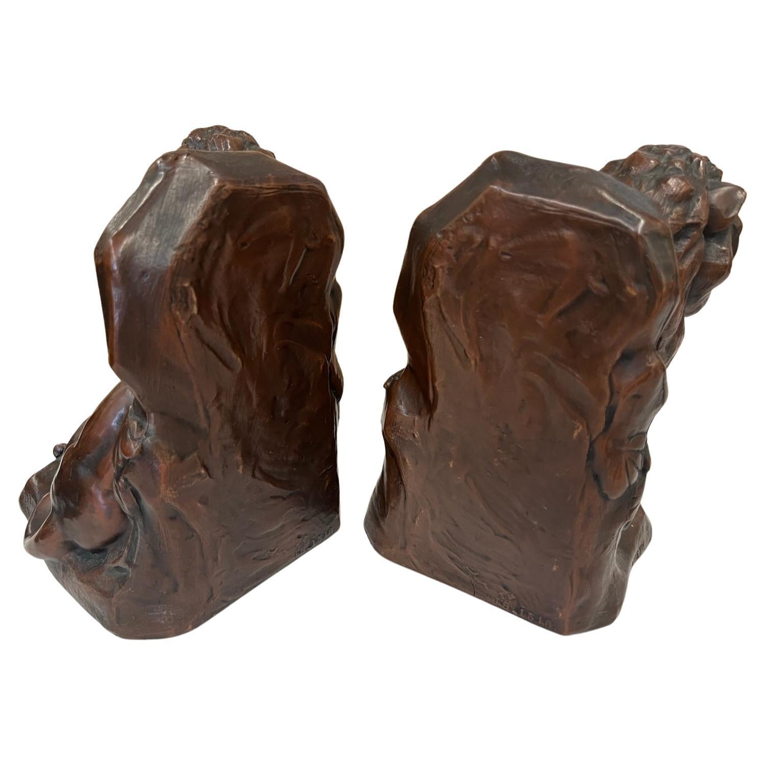 Pair of lion Bronze bookends with great weight lions are well proportioned. Great patina from age.