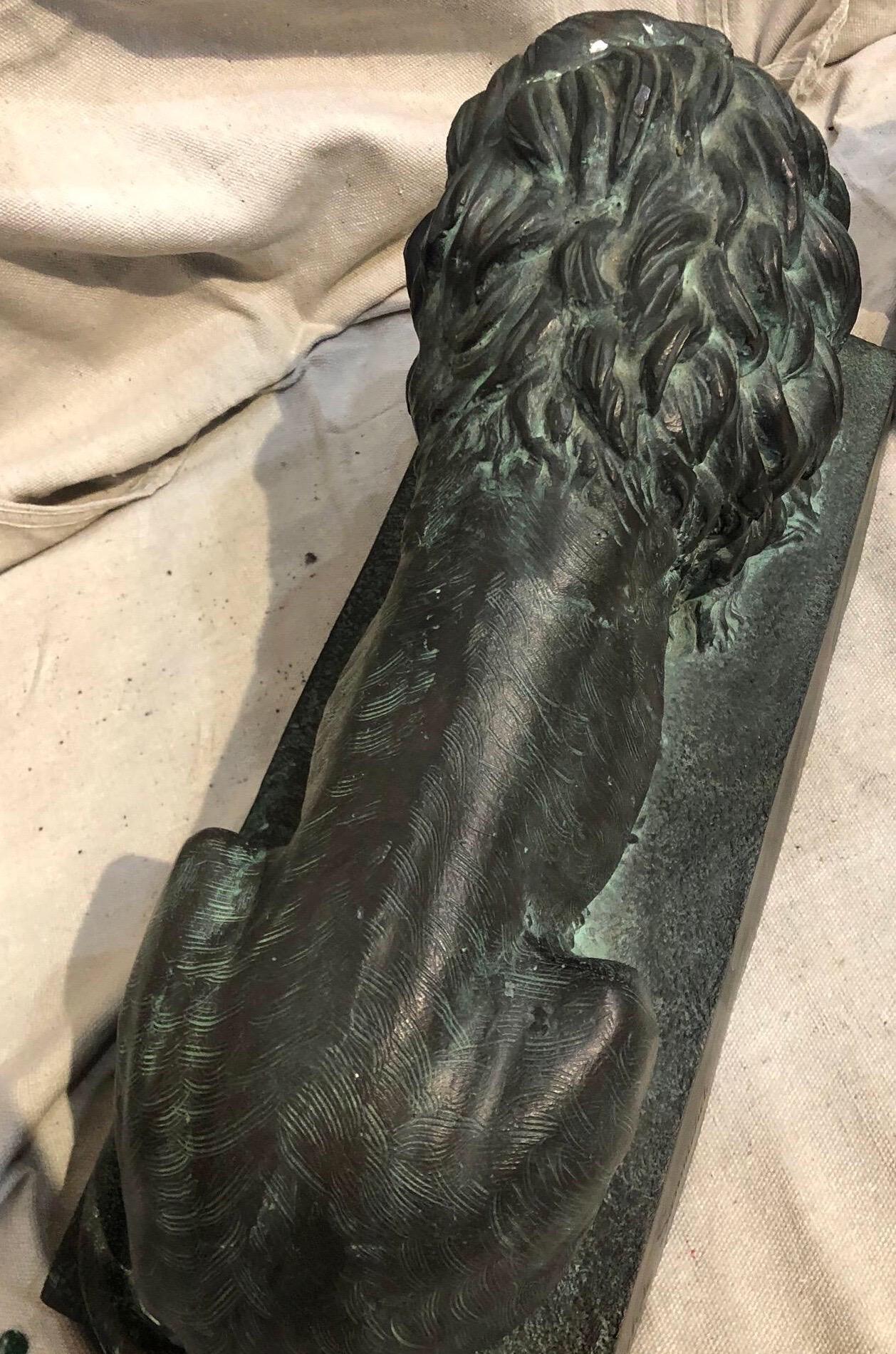 Pair of Bronze Lions 5