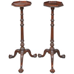 Pair of Signed English Fern Stands
