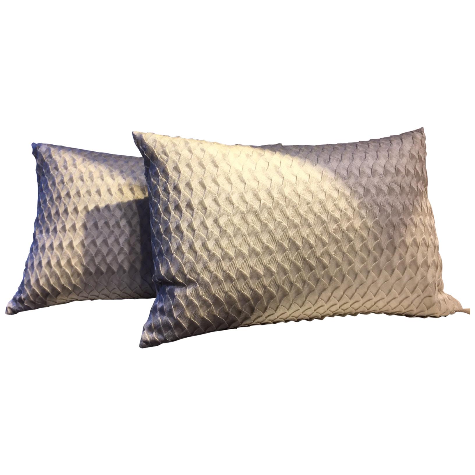 Pair of Silk Cushions Color Oyster Fish Scale Pattern For Sale