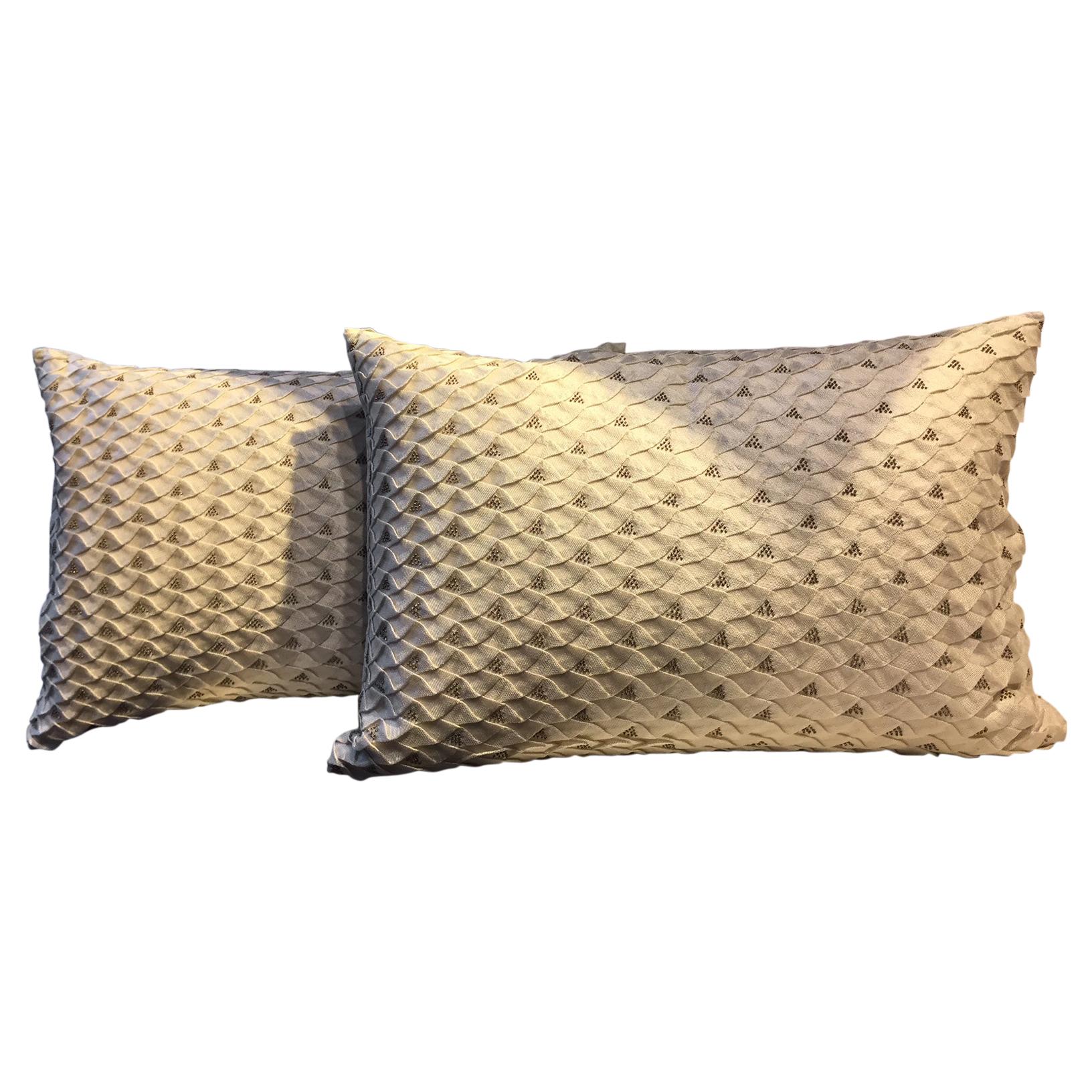 Pair of Silk Cushions Color Oyster Fish Scale Pattern with Silver Beading