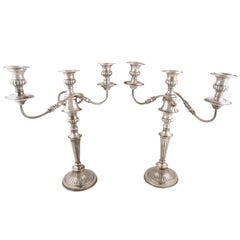 19th Century Pair of Silver Plated Candelabra