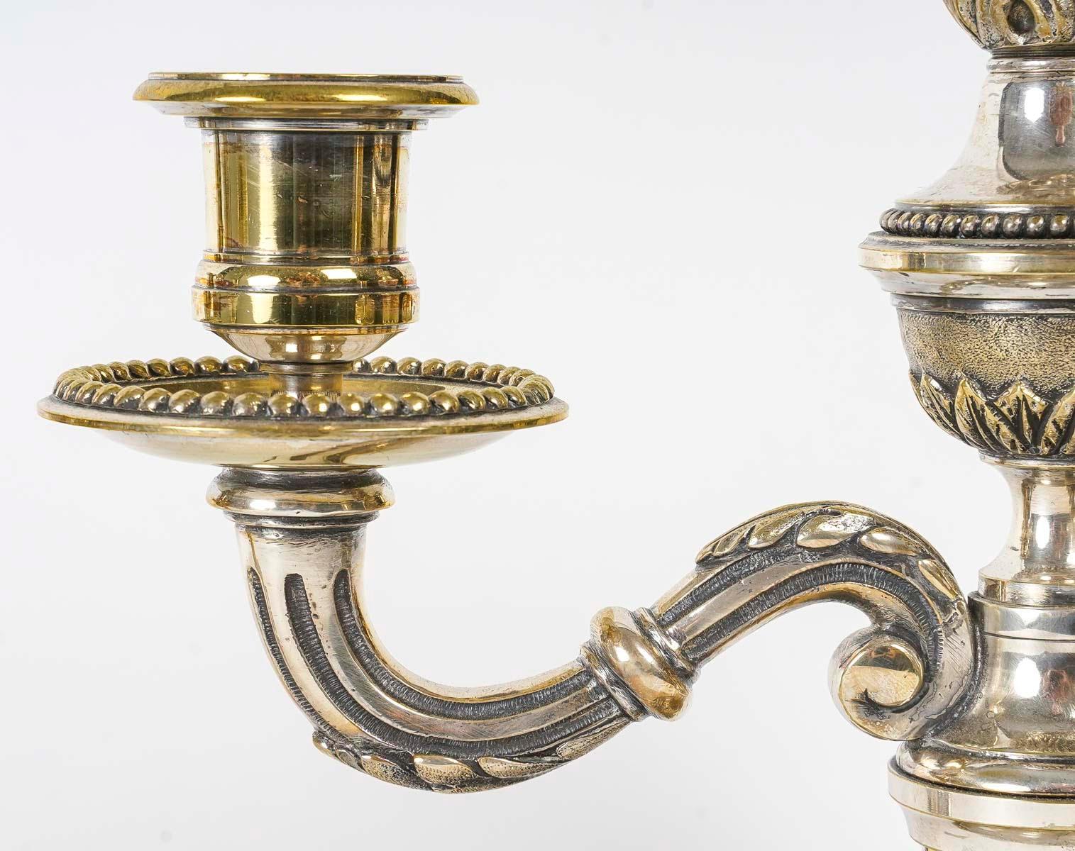 French Pair of Silvered Bronze Candelabra, 19th Century, Napoleon III Period. For Sale