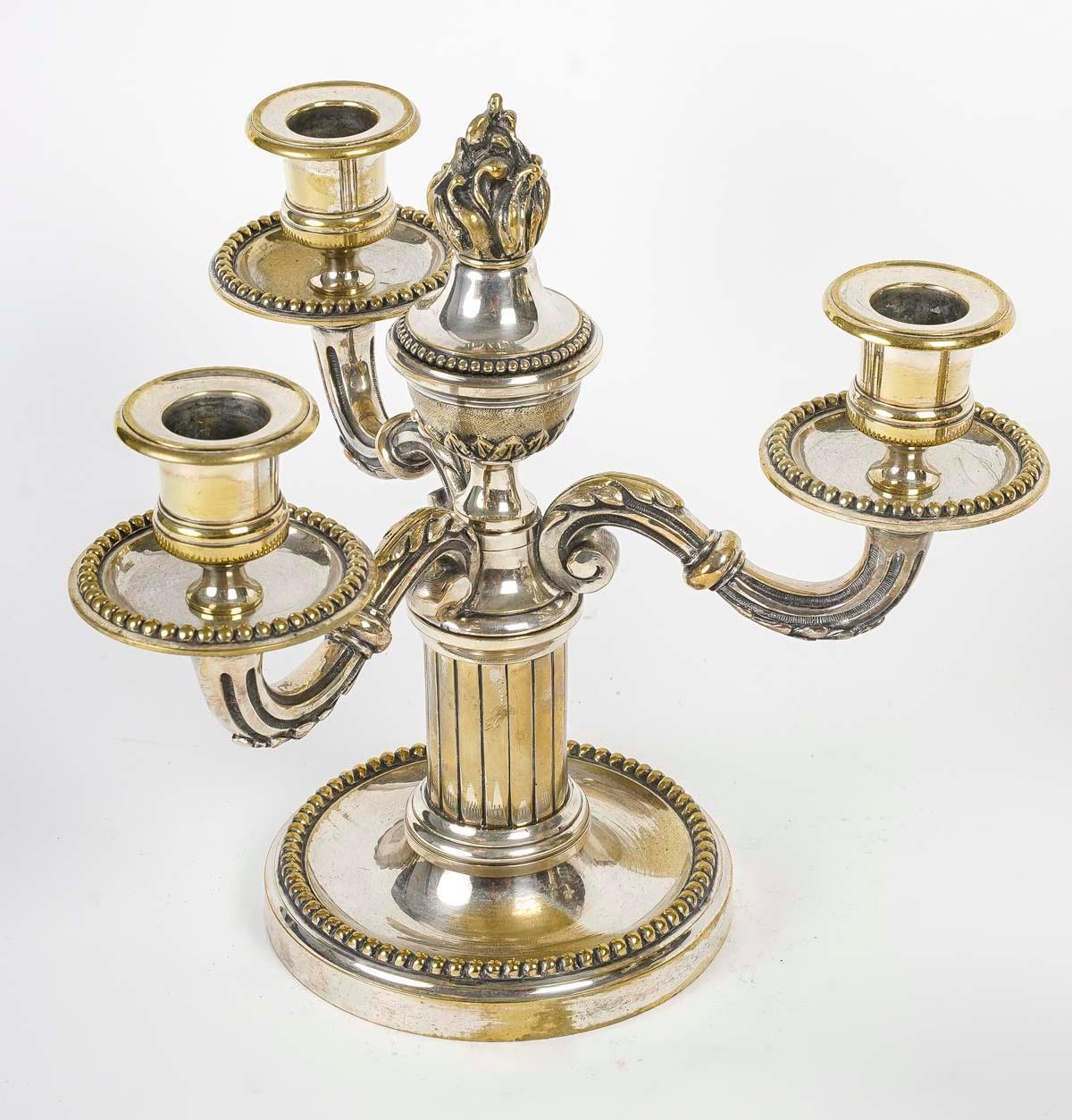 Pair of Silvered Bronze Candelabra, 19th Century, Napoleon III Period. In Good Condition For Sale In Saint-Ouen, FR