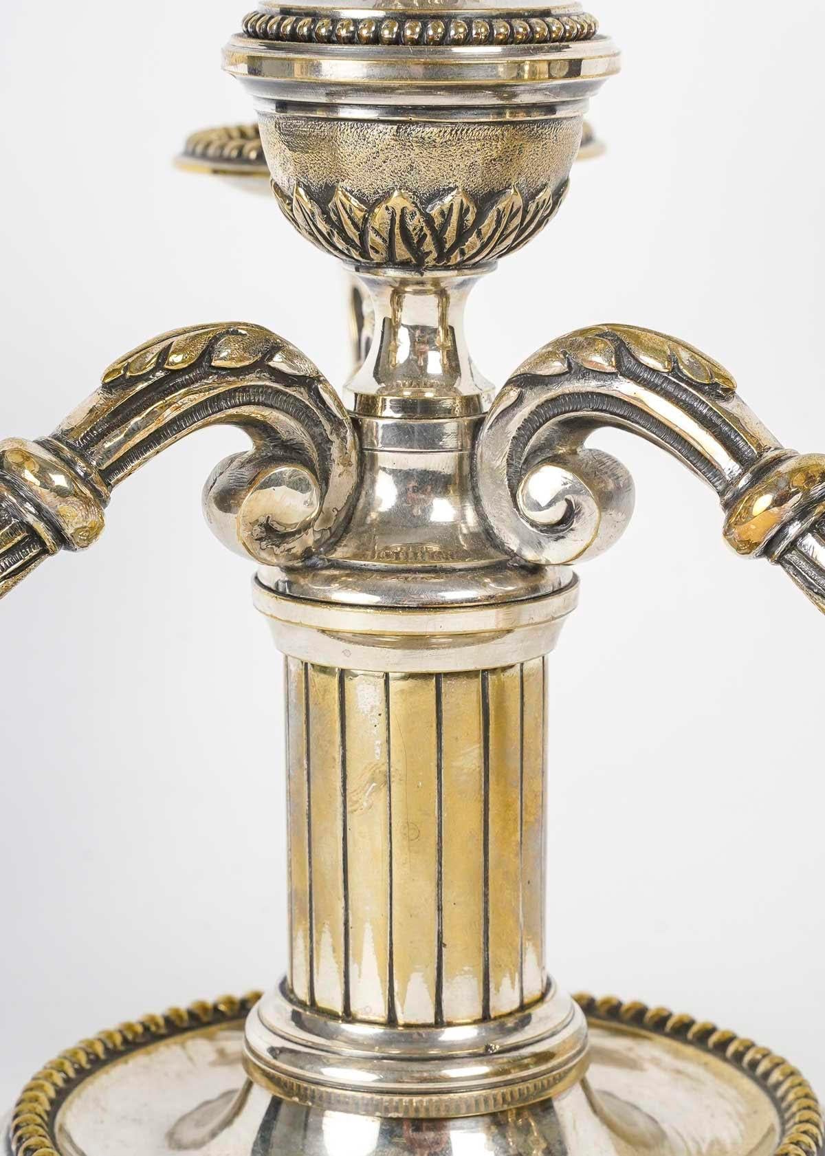Pair of Silvered Bronze Candelabra, 19th Century, Napoleon III Period. For Sale 2