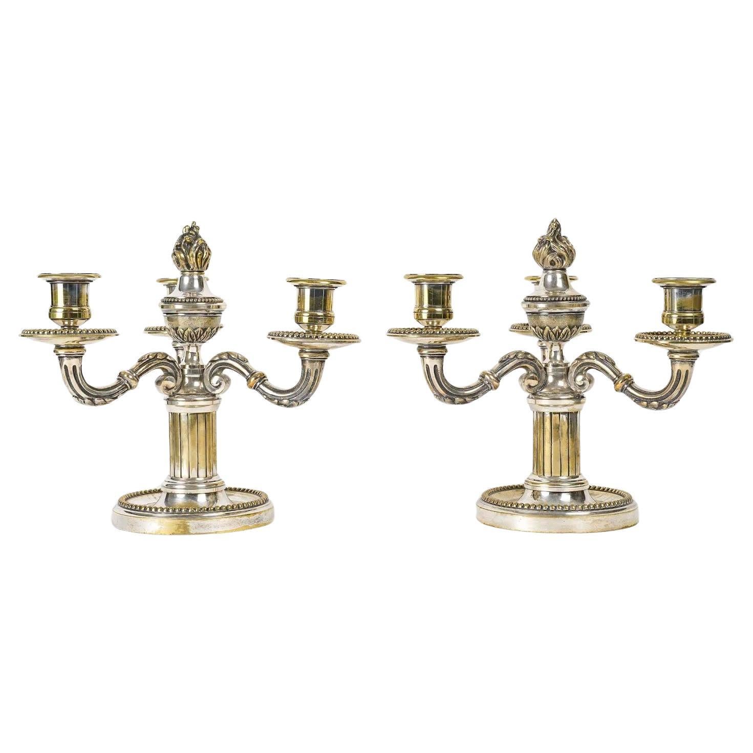 Pair of Silvered Bronze Candelabra, 19th Century, Napoleon III Period. For Sale