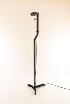 Pair of Sirio Floor Lamps by Kazuhide Takahama for Sirrah, 1970s