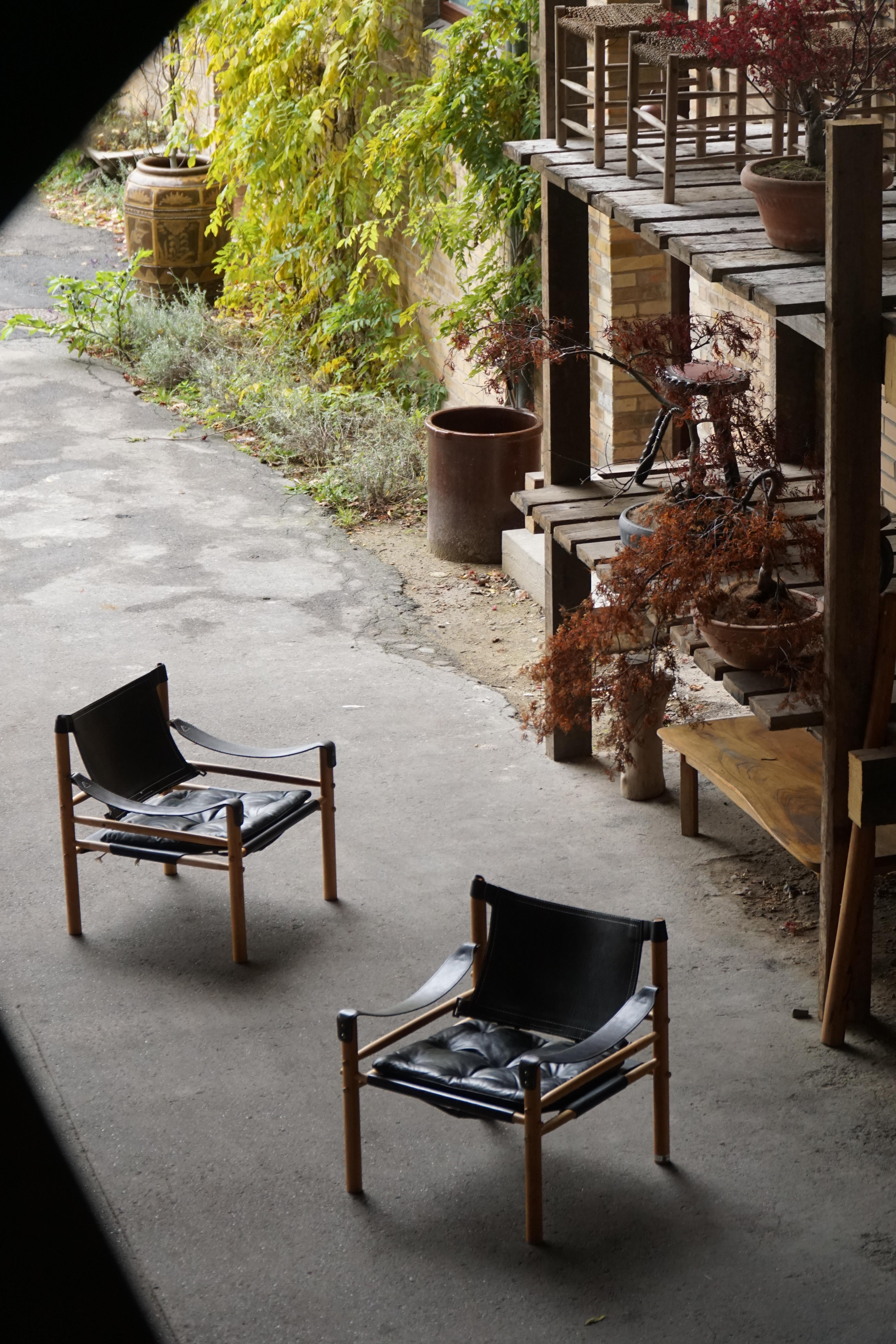 Suédois Paire de chaises Sirocco Safari par Arne Norell pour Arne Norell AB, Suède, années 1960 en vente