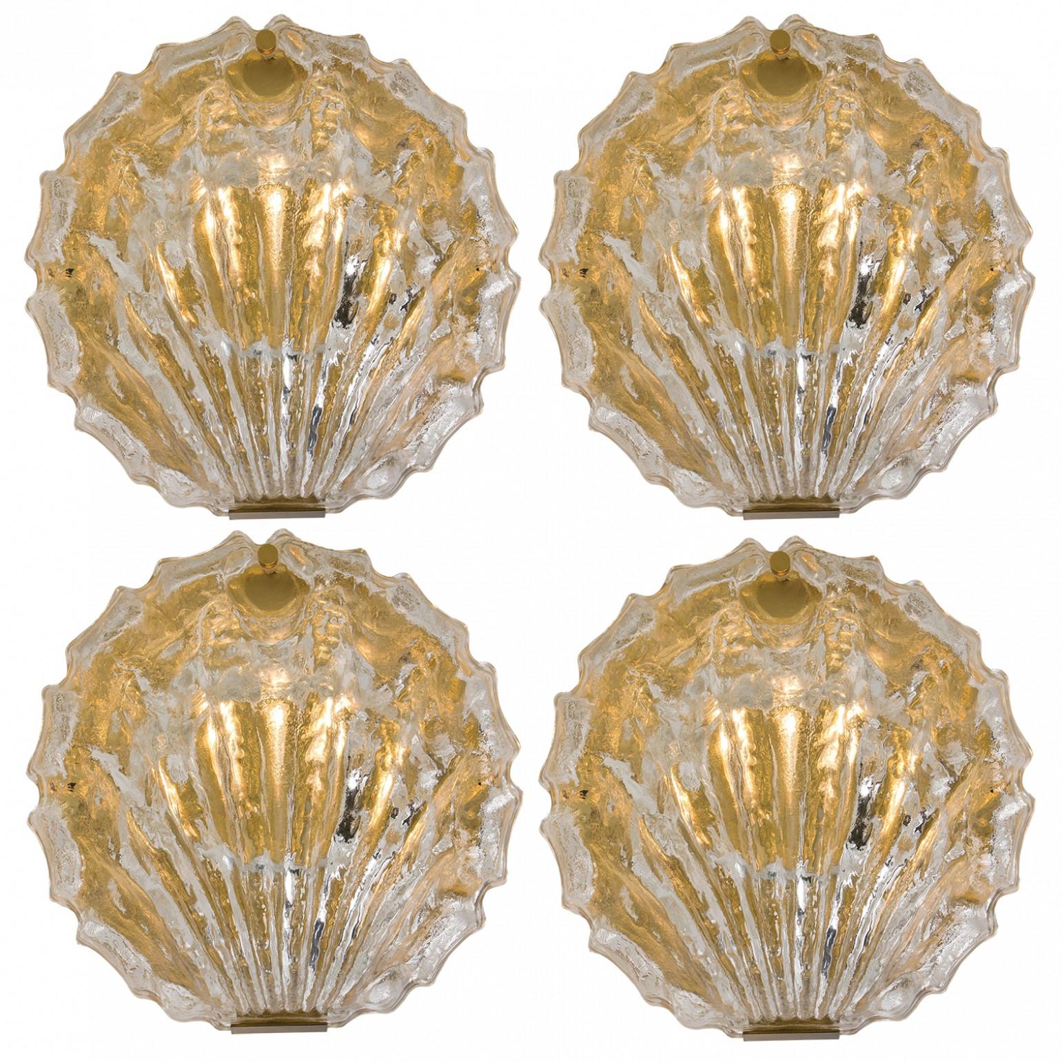 Altro Coppia di sei lampade da parete a conchiglia in vetro color ghiaccio dorato, anni '60 in vendita