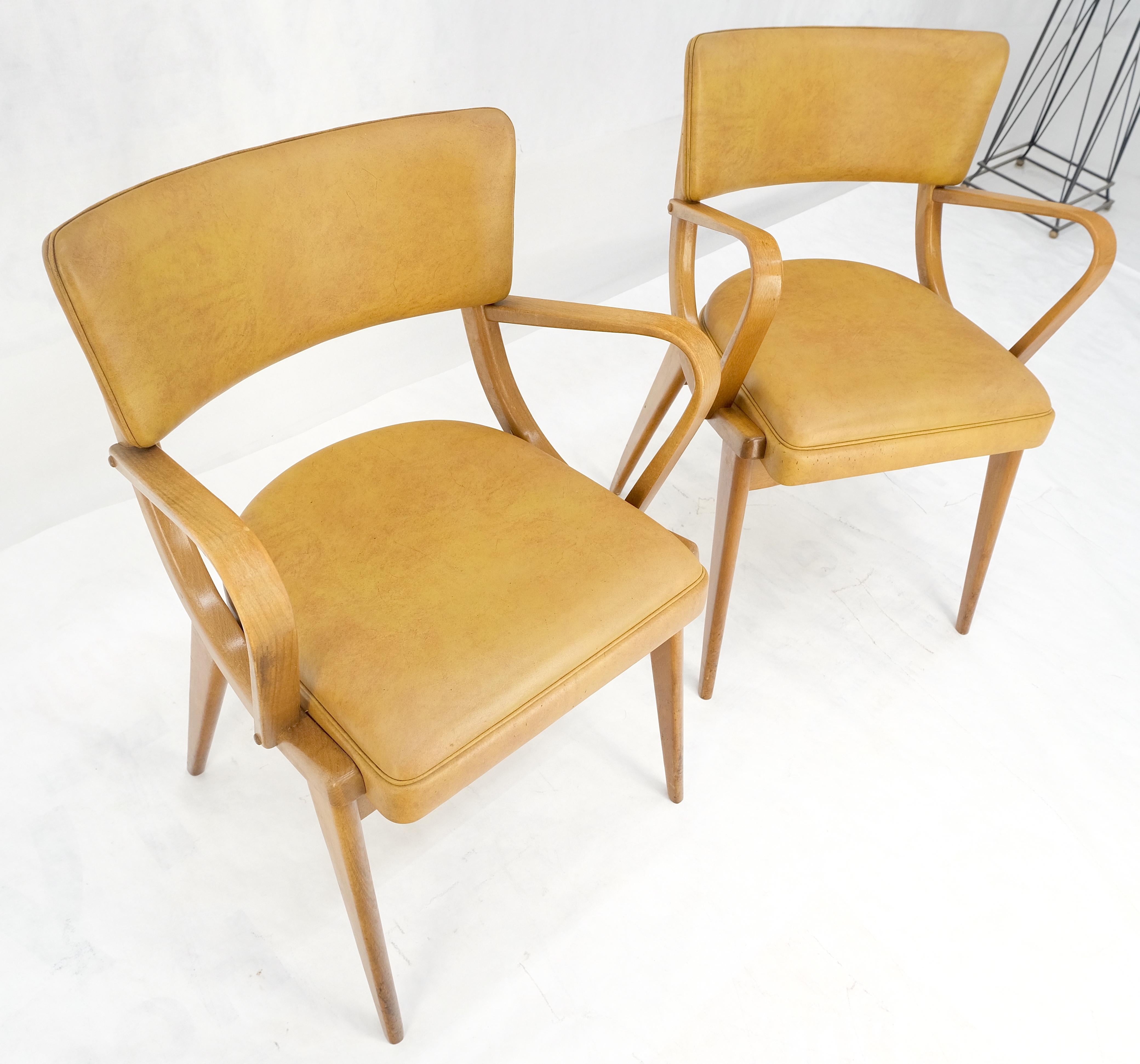 Paire de chaises de salle à manger en bois de hêtre courbé à pieds en forme de compas MINT de la modernité du milieu du siècle dernier en vente 4