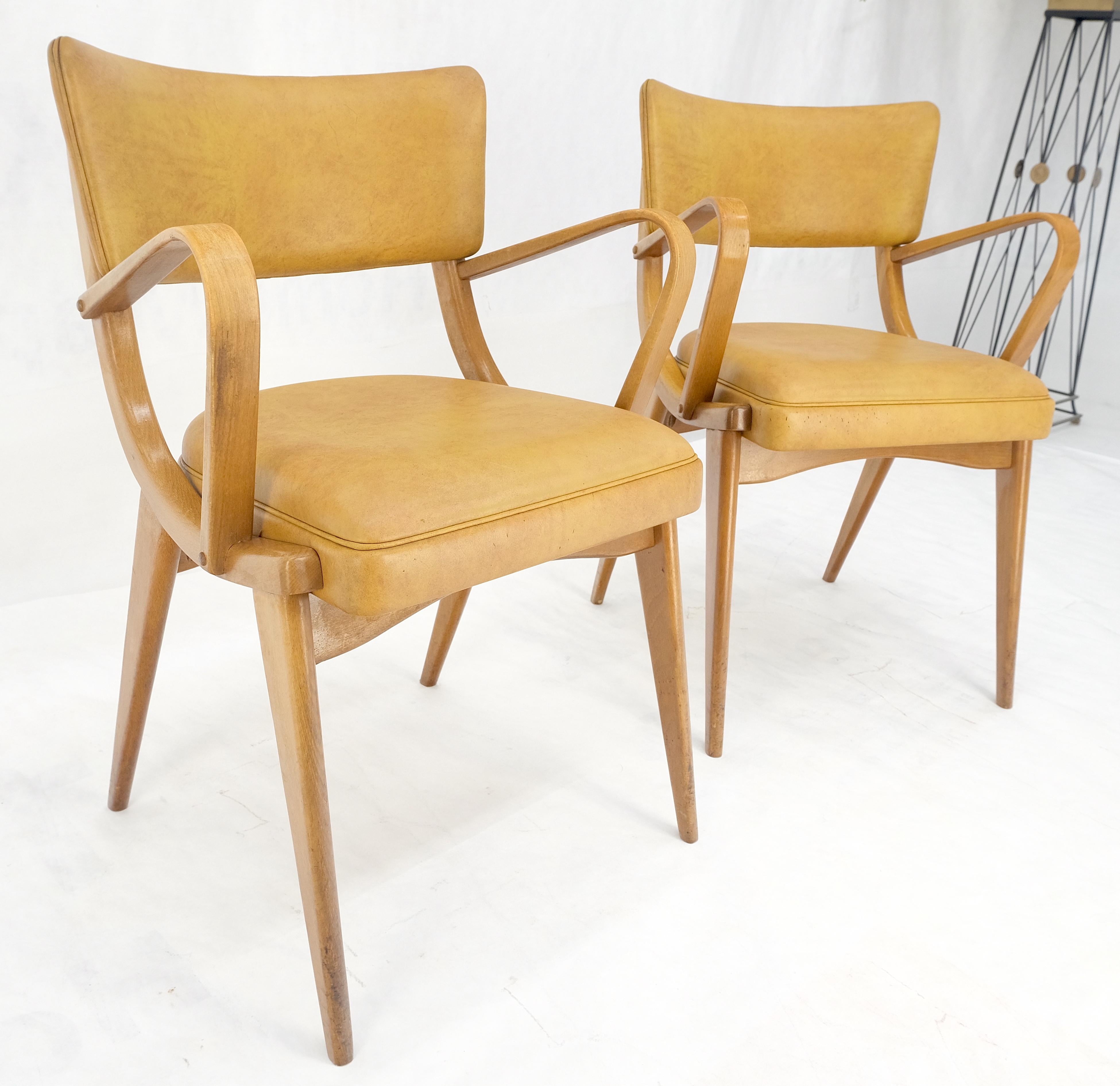 Paire de chaises de salle à manger en bois de hêtre courbé à pieds en forme de compas MINT de la modernité du milieu du siècle dernier en vente 5