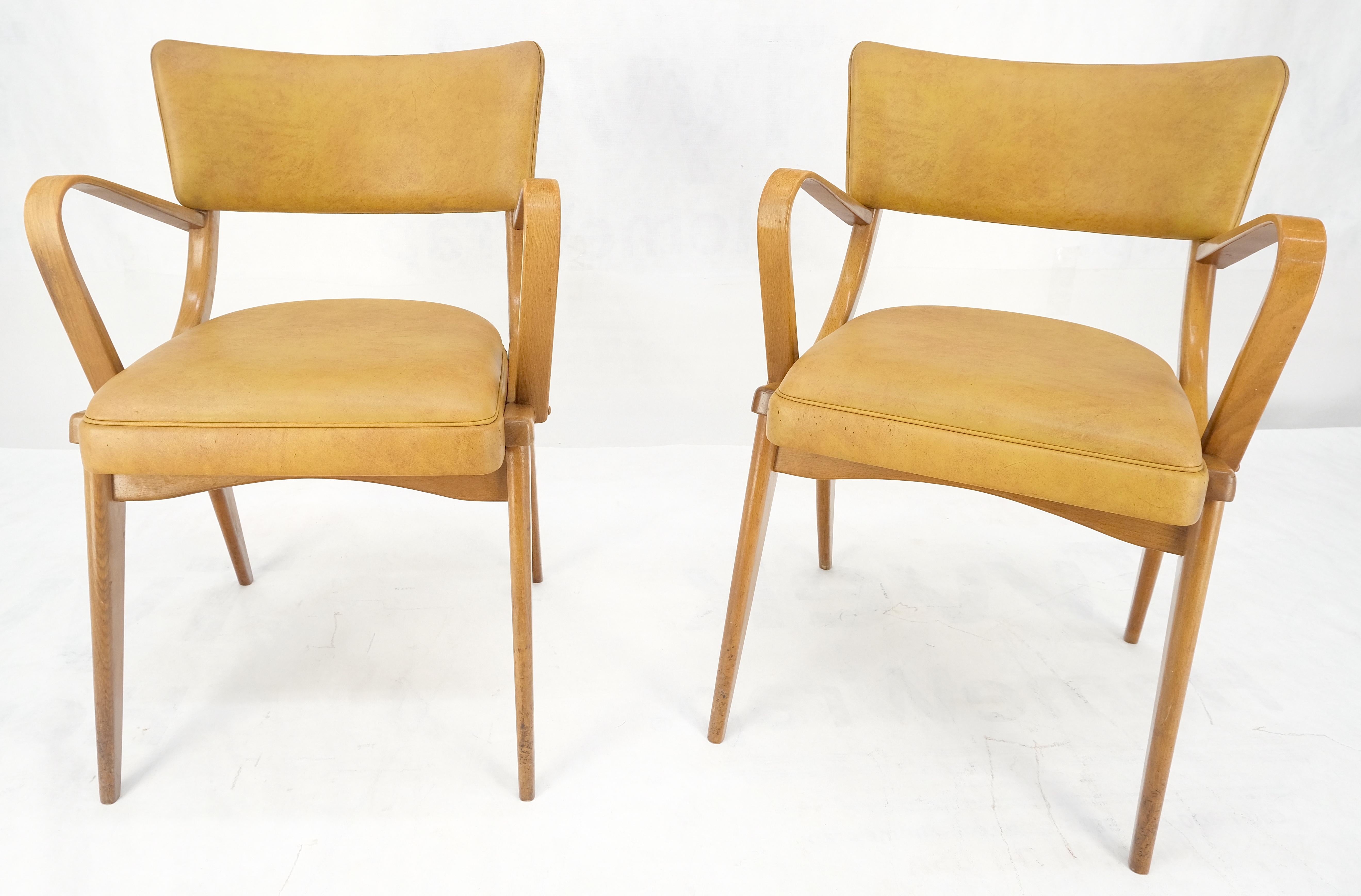 Paire de chaises de salle à manger en bois de hêtre courbé à pieds en forme de compas MINT de la modernité du milieu du siècle dernier en vente 10