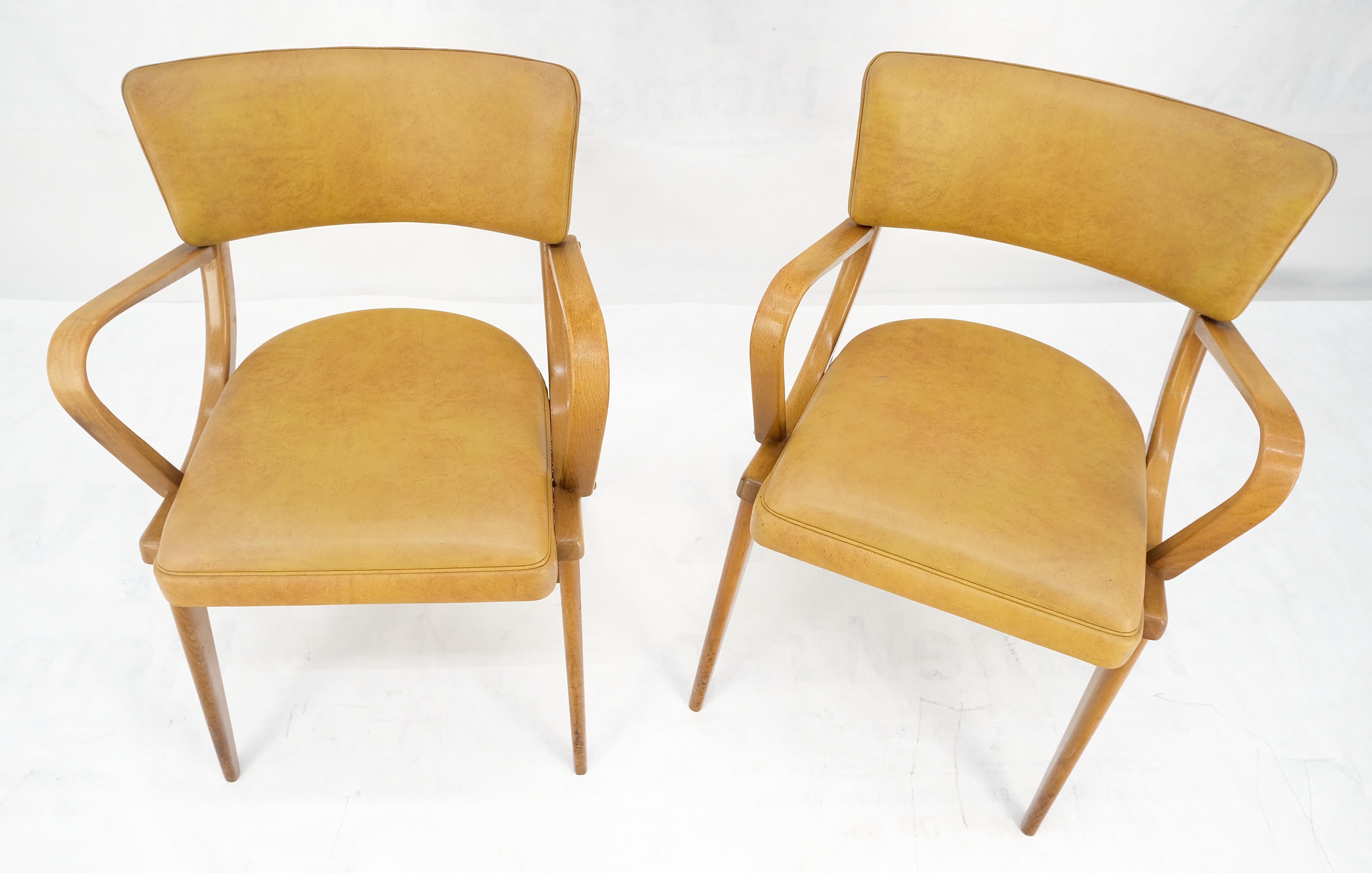 20ième siècle Paire de chaises de salle à manger en bois de hêtre courbé à pieds en forme de compas MINT de la modernité du milieu du siècle dernier en vente