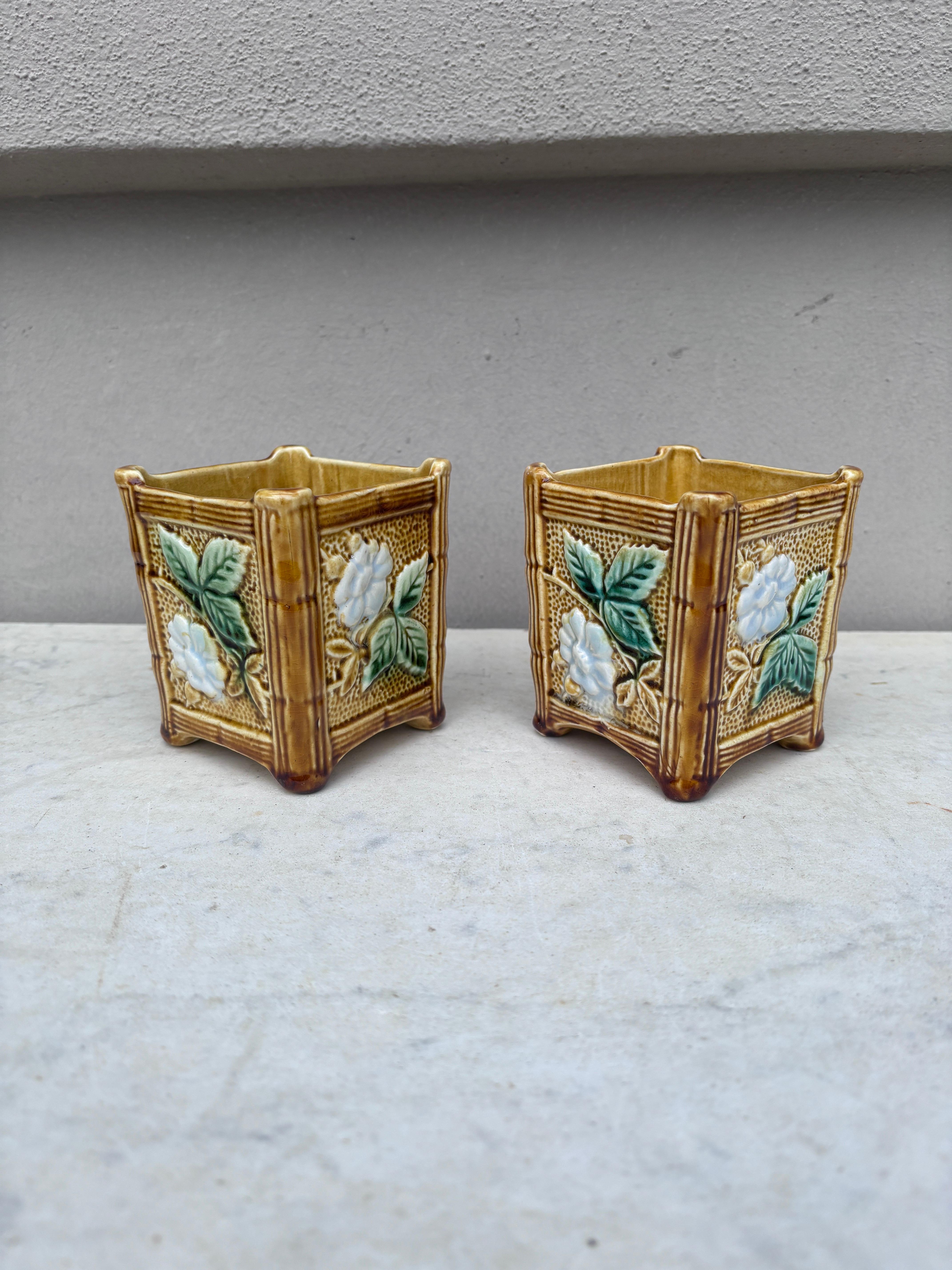 Coppia di piccoli vasi in maiolica francese del 1890 circa.
Fiori bianchi su sfondo dorato.

