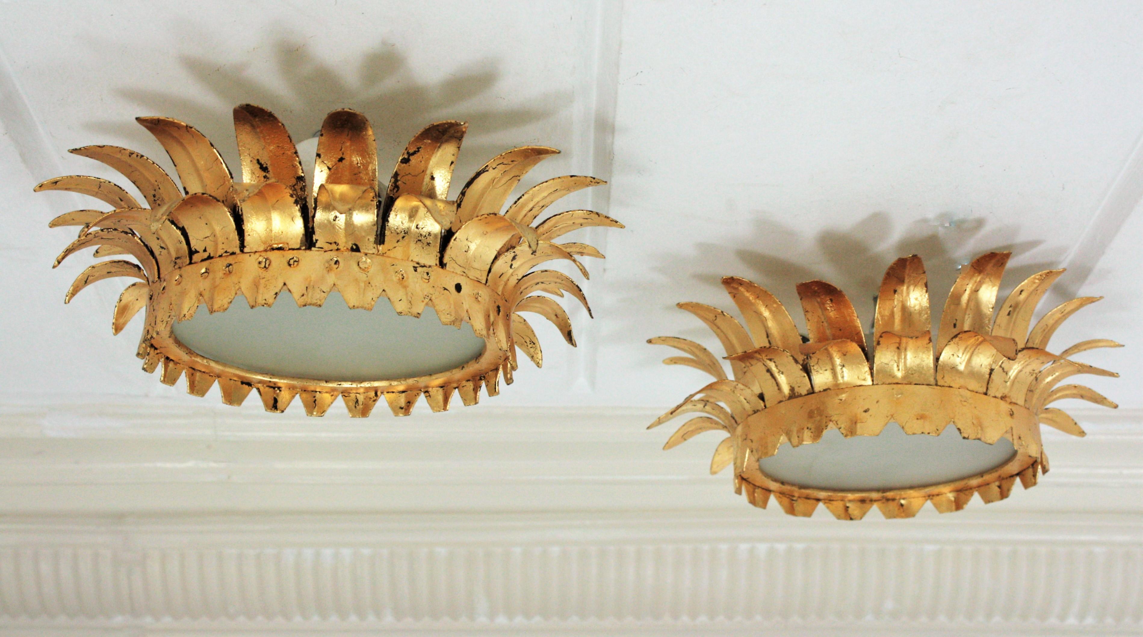 Paar kleine französische neoklassizistische Kronleuchter aus vergoldetem Eisen mit Sonnenschliff (Mattiert) im Angebot