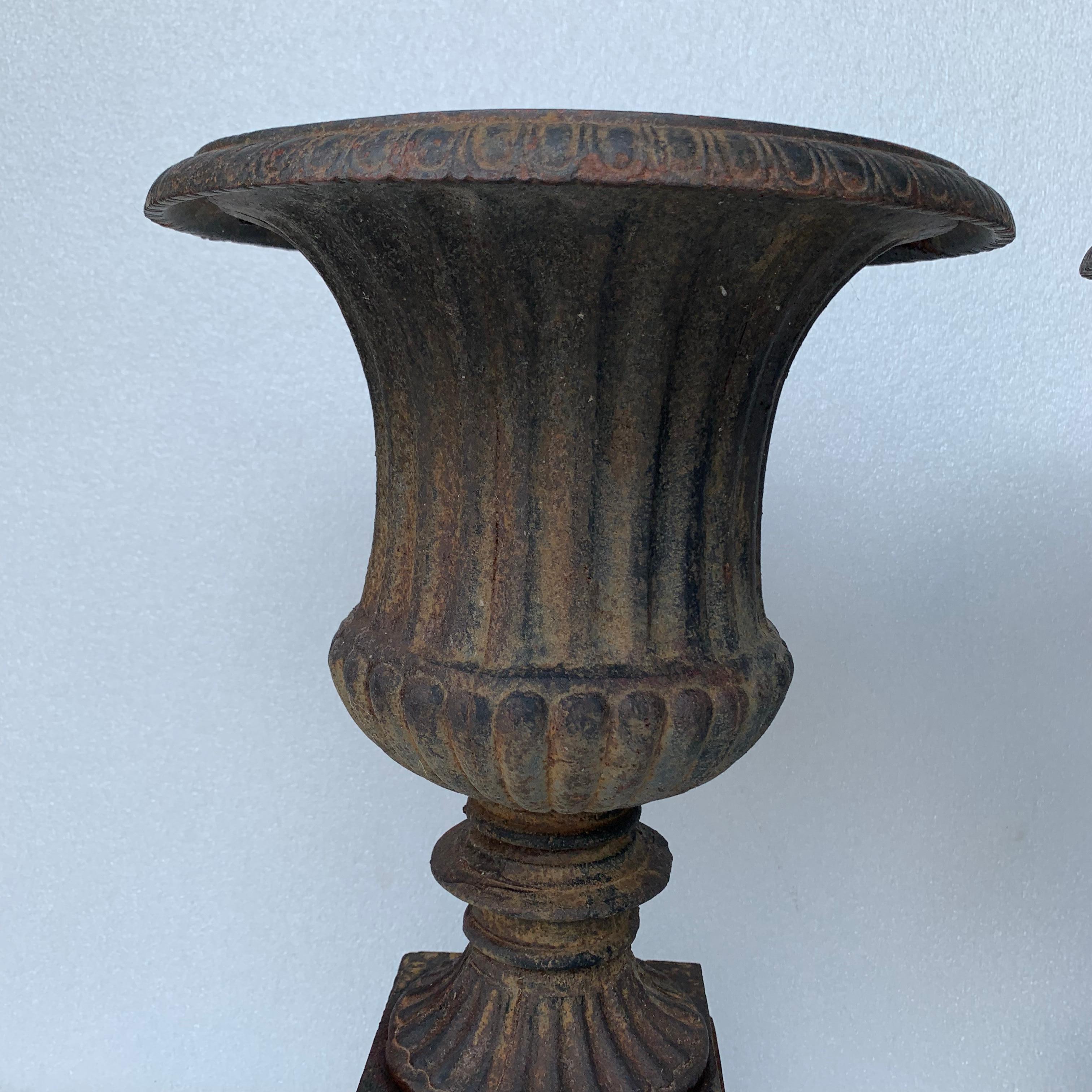 Pair Of Small Late 19th Century Cast Iron Urns On Stands 1