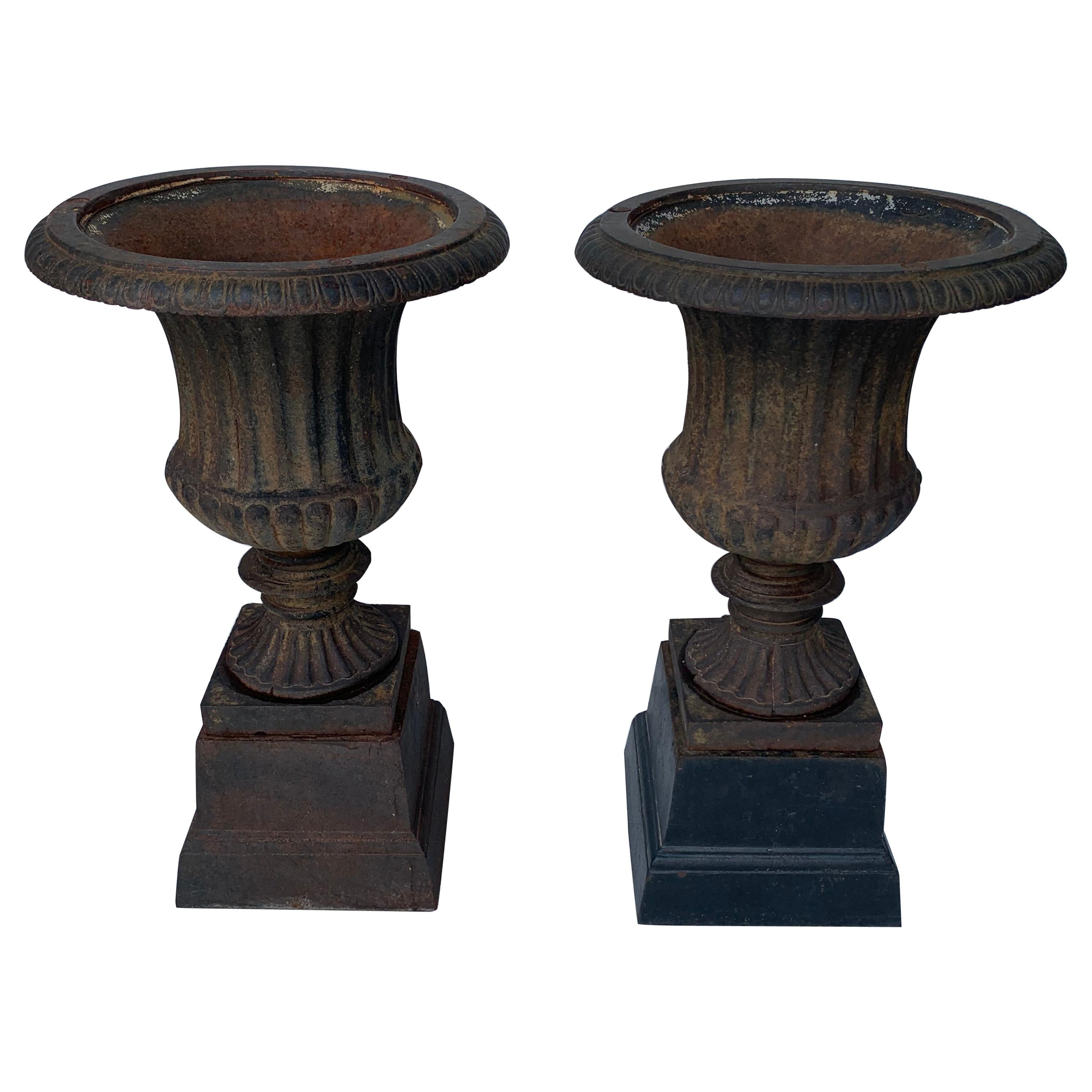 Pair Of Small Late 19th Century Cast Iron Urns On Stands
