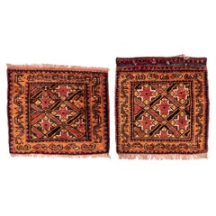 Pair of Small Nomadic Rugs
