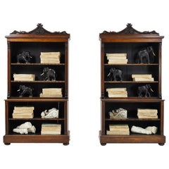 Pair of Small Proportioned English Rosewood Bookcases with Carved Pediment