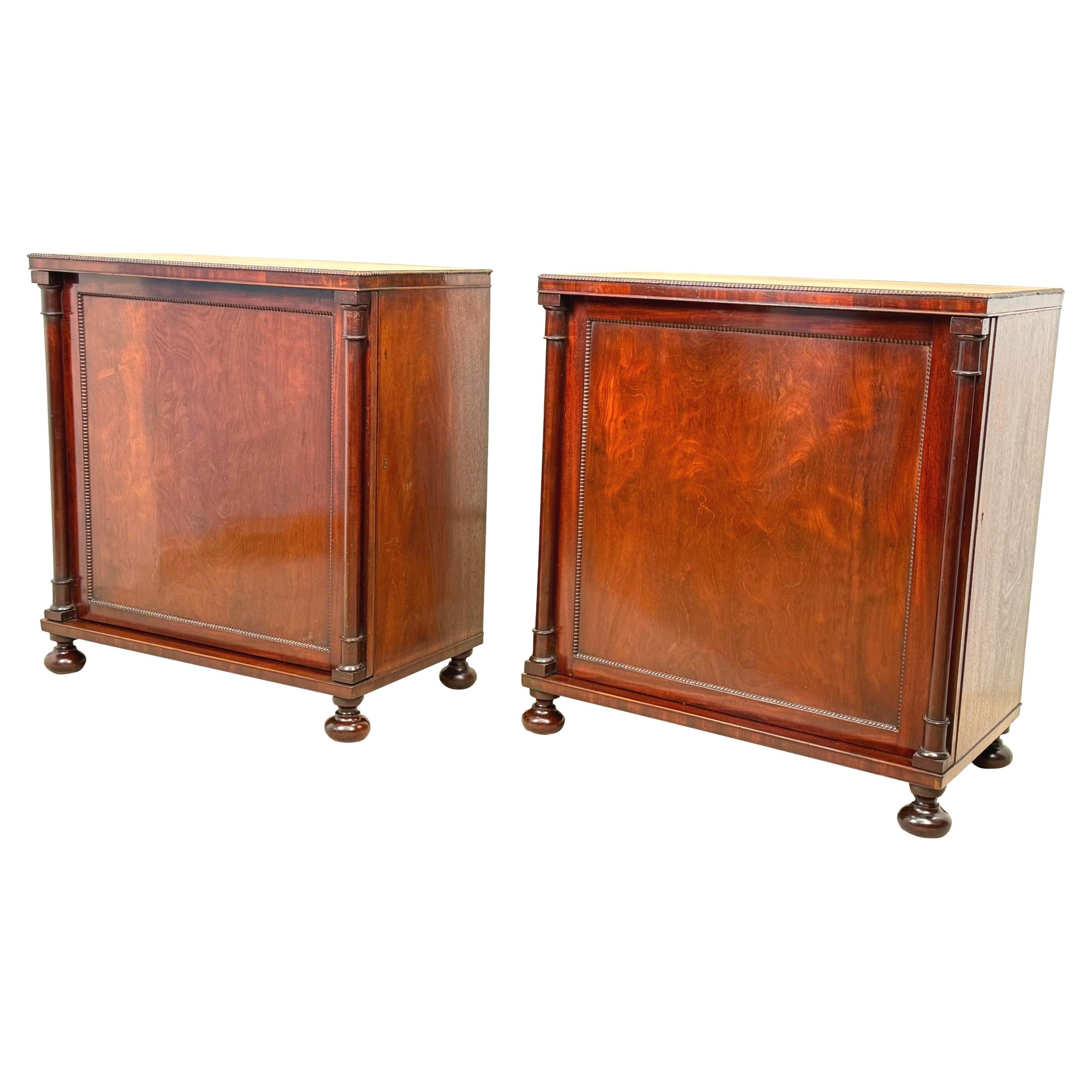 Regency Mahogany Side Cupboards, England, Circa 1820, Diminutive Pair For Sale