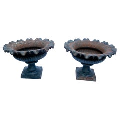 Pair of Small Unusual Antique Cast Iron Urns with Ruffled Rims