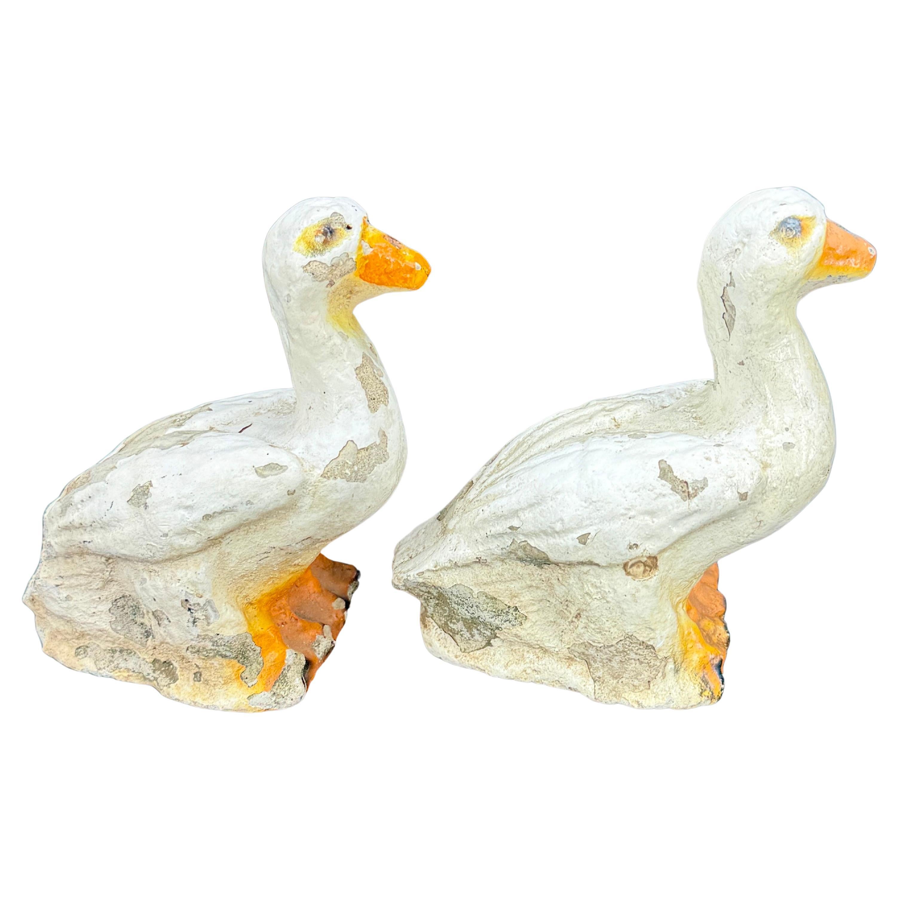 Set di anatre di charme con una bella patina invecchiata. Questa coppia di scarpe da ginnastica può essere utilizzata sia all'interno che all'esterno. Li vediamo seduti su un tavolino da caffè sopra a dei libri o in un giardino all'aperto.